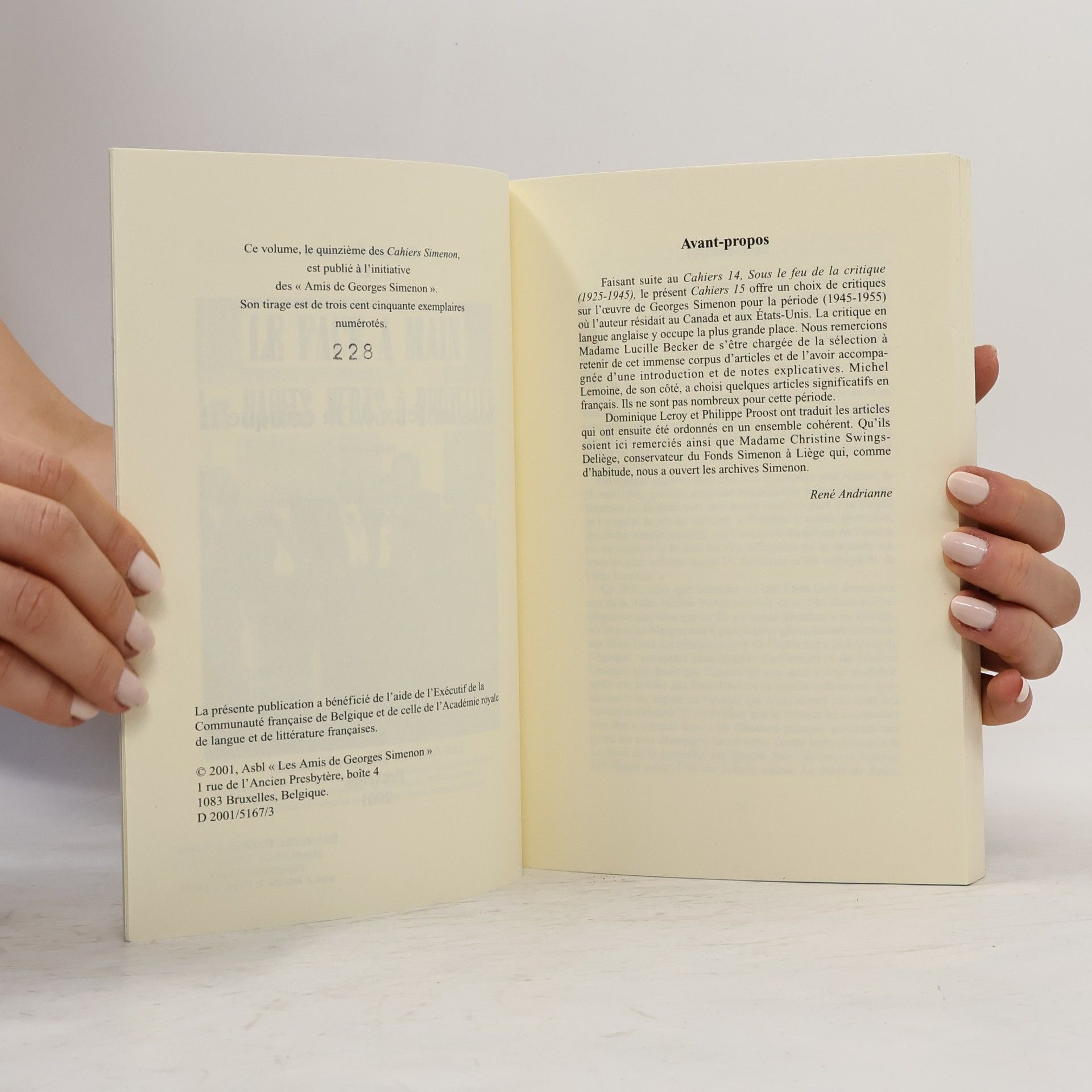 Autorenkollektiv Cahiers Simenon 15. Sous les feux de la critique II.