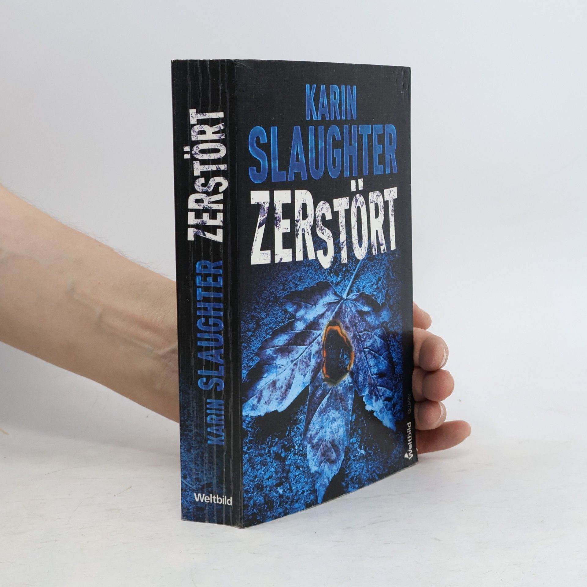 Karin Slaughter Zerstört