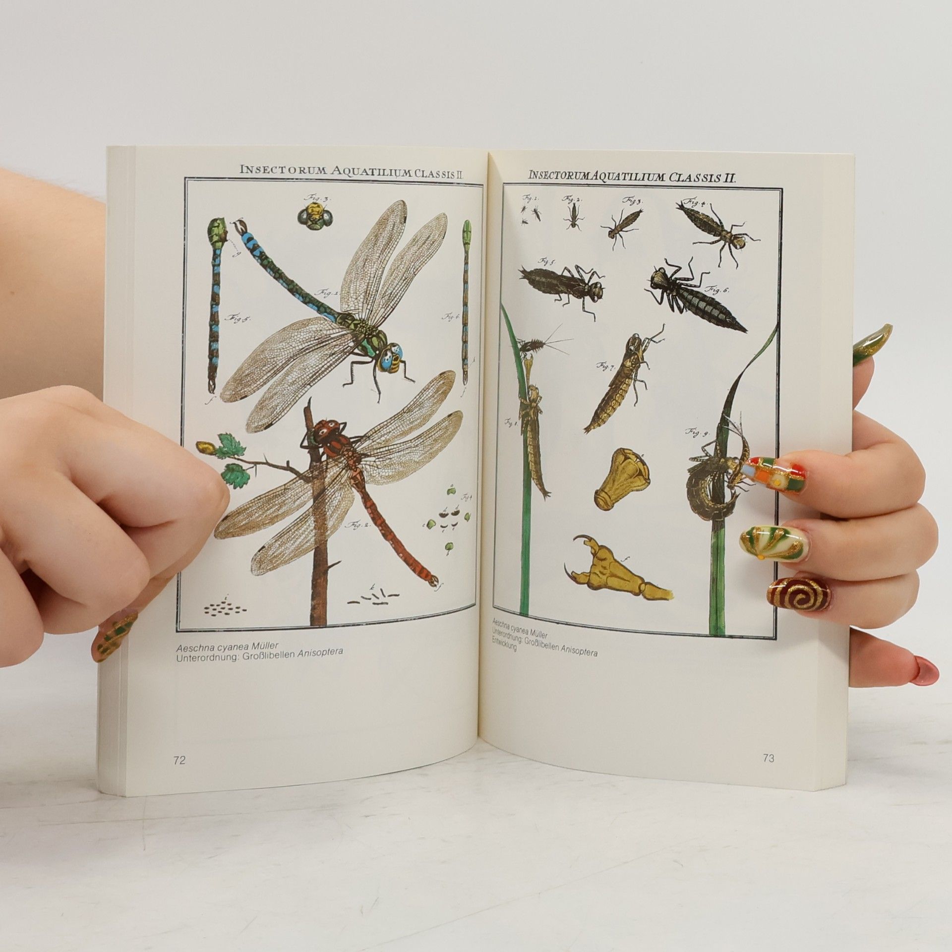August Johann Rösel von Rosenhof Insecten-Belustigung