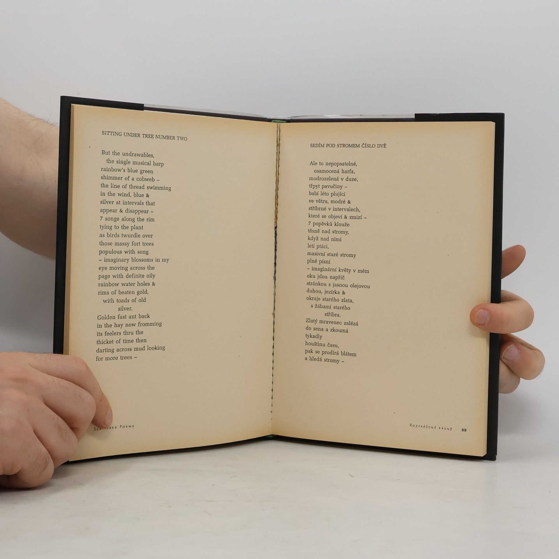 Jack Kerouac Scattered Poems. Rozprášené básně