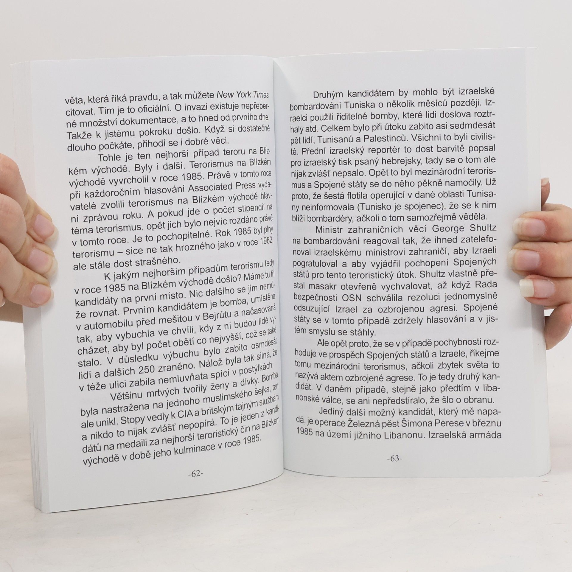 Noam Chomsky Moc a teror