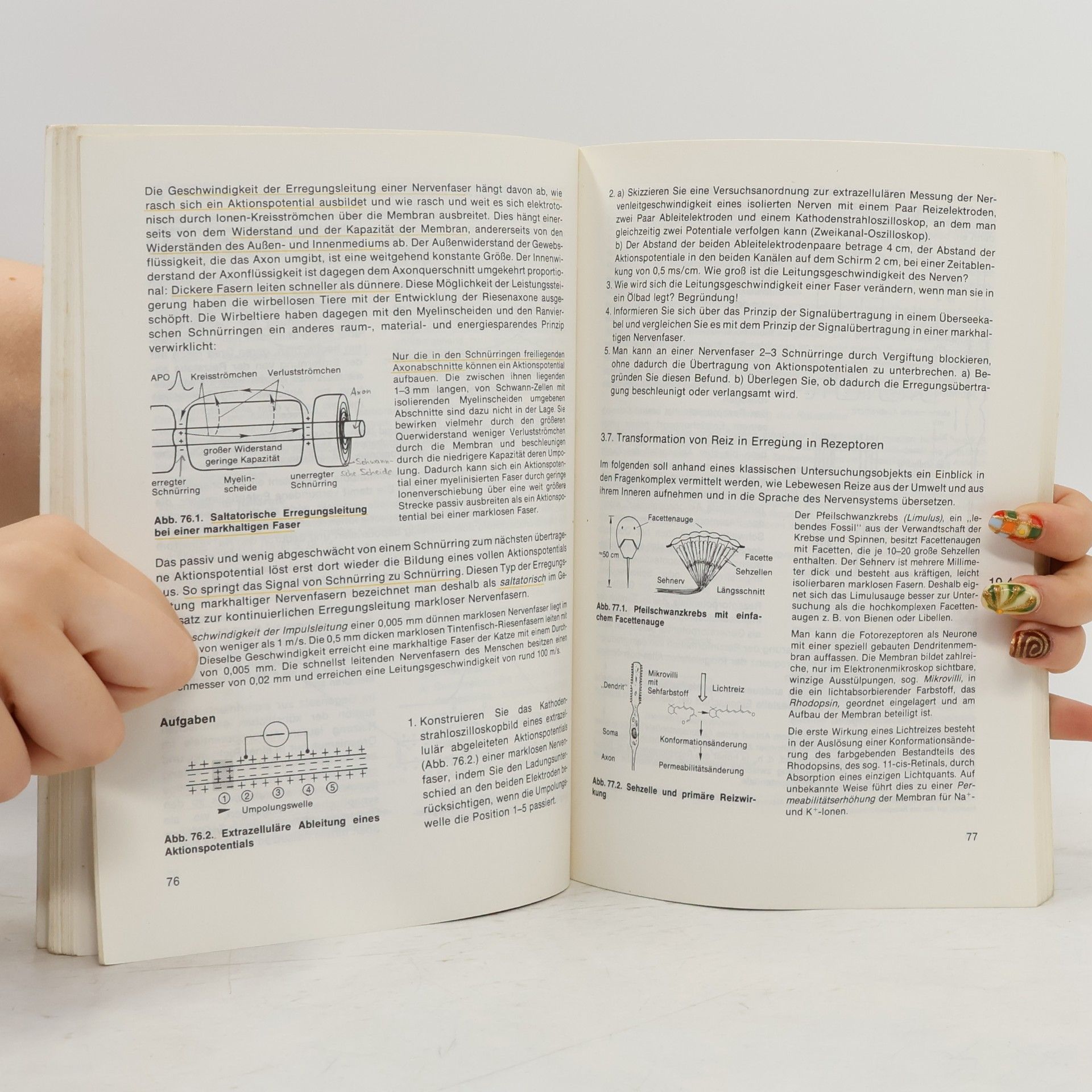 Karl Daumer Verhaltensbiologie