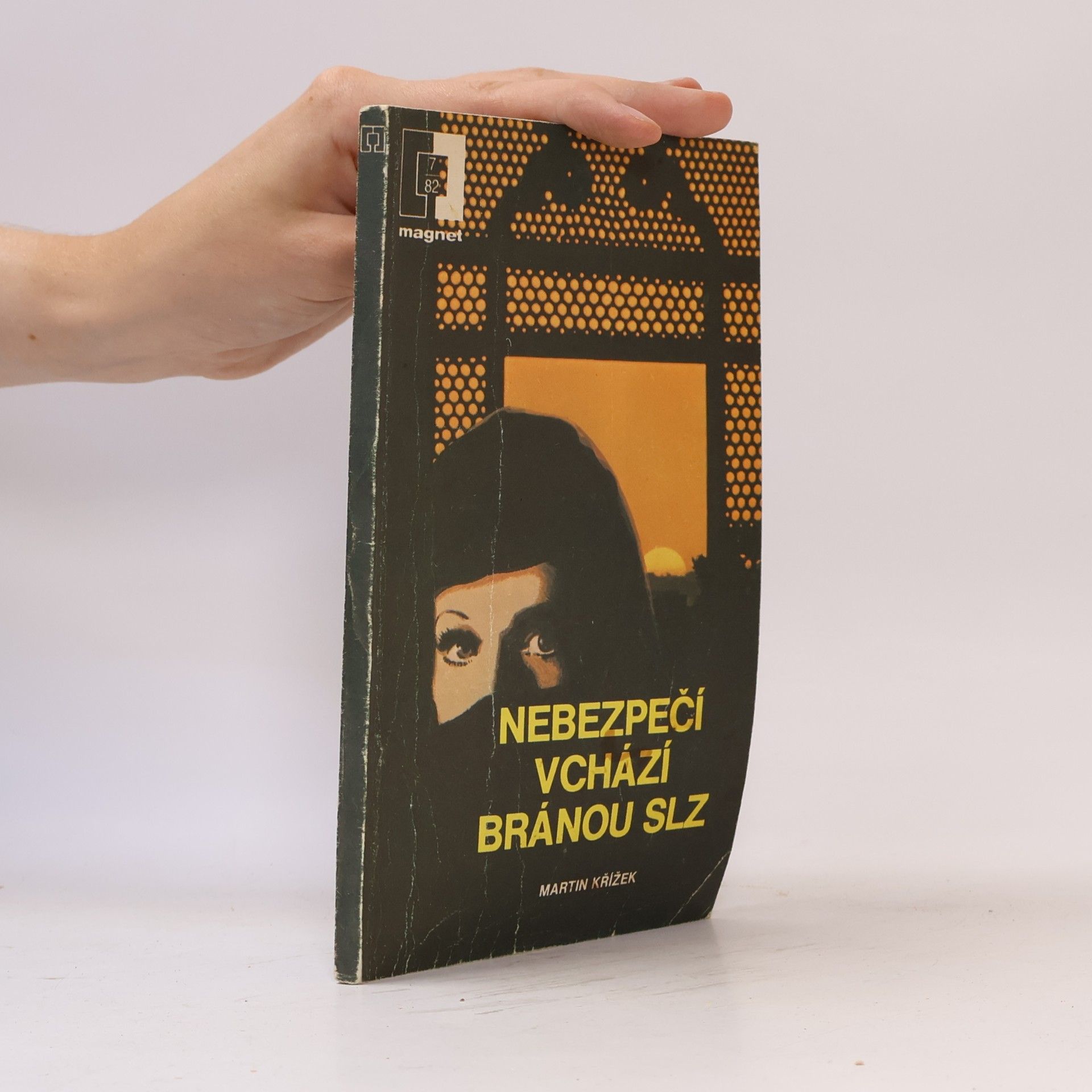 Martin Křížek Nebezpečí vchází bránou slz