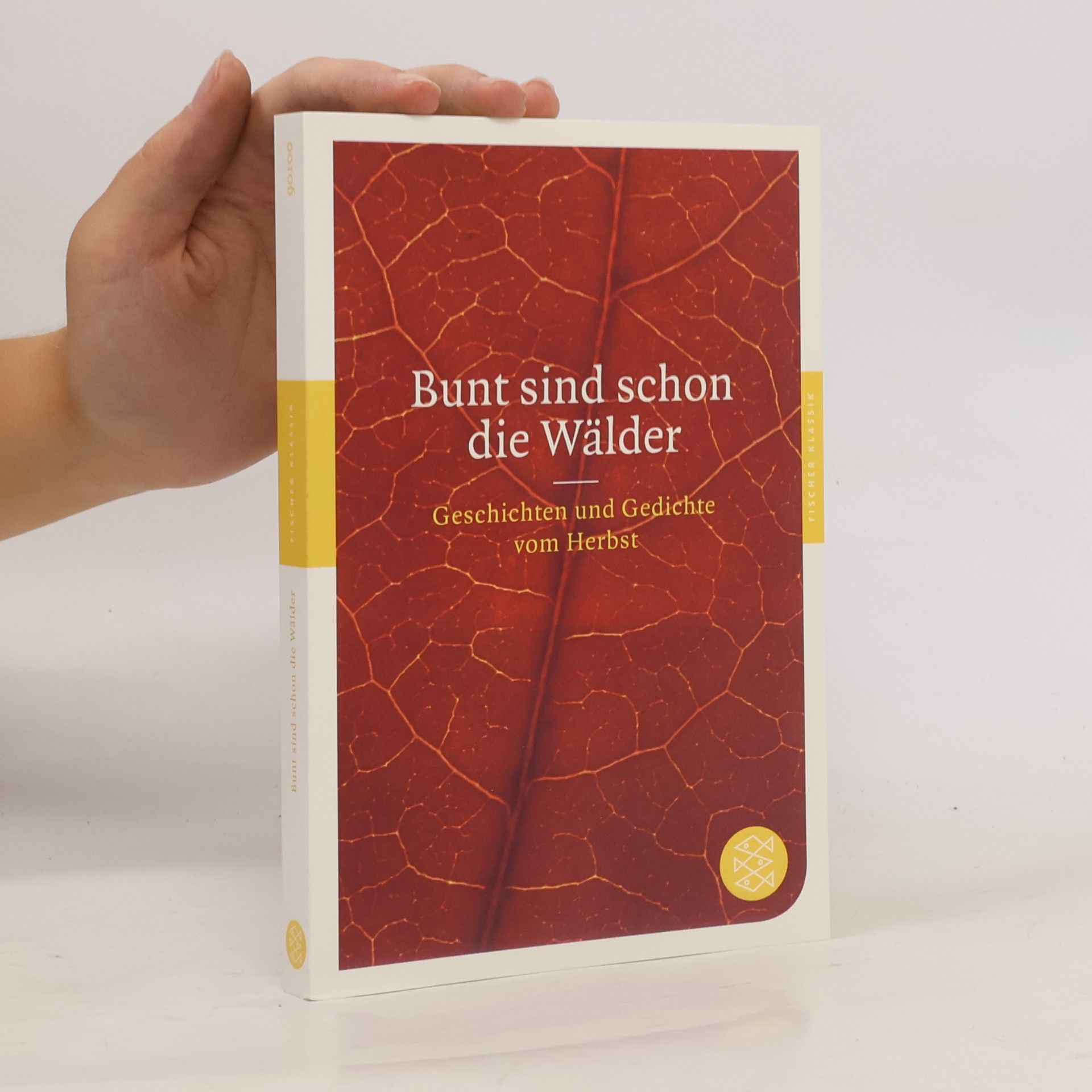 Axel Ruckaberle Bunt sind schon die Wälder