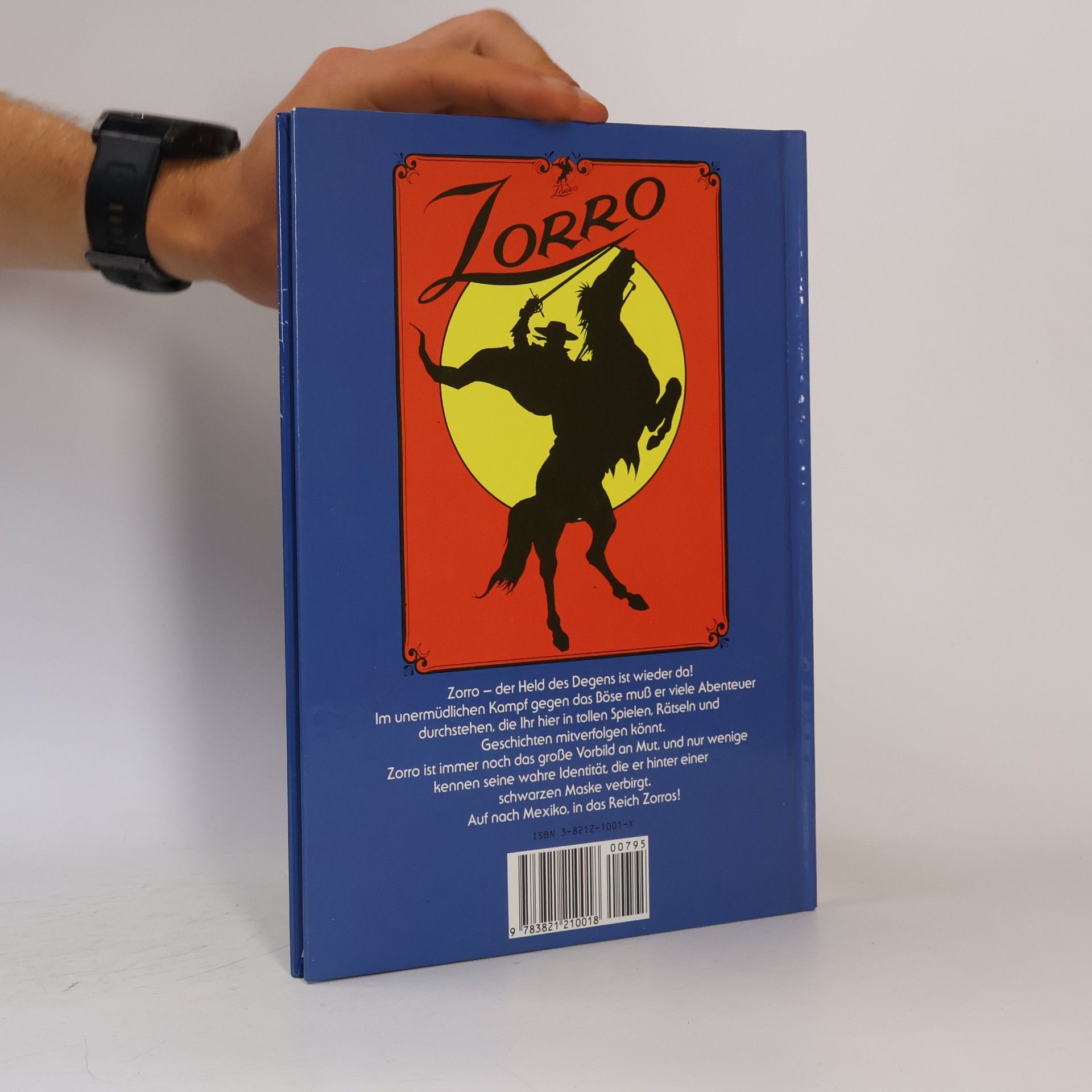 Kolektív autorov Zorro. Spiele und Geschichten