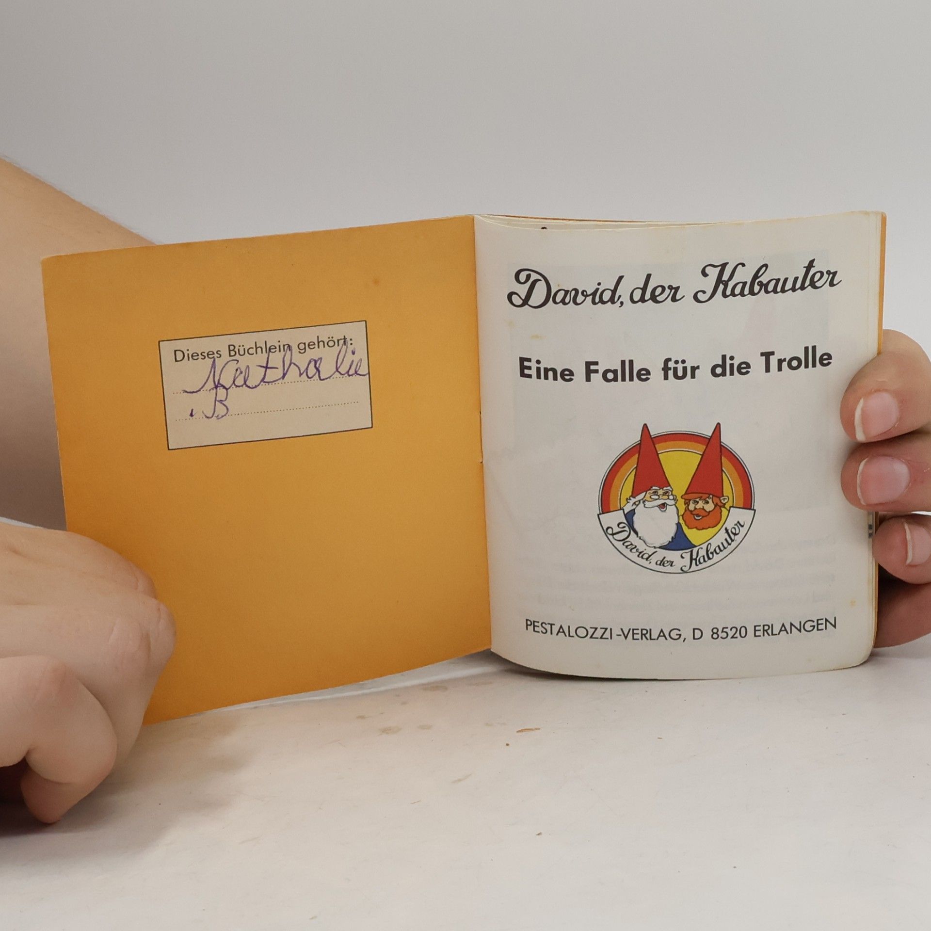Autorenkollektiv David, der Kabauter: Eine Falle für die Trolle