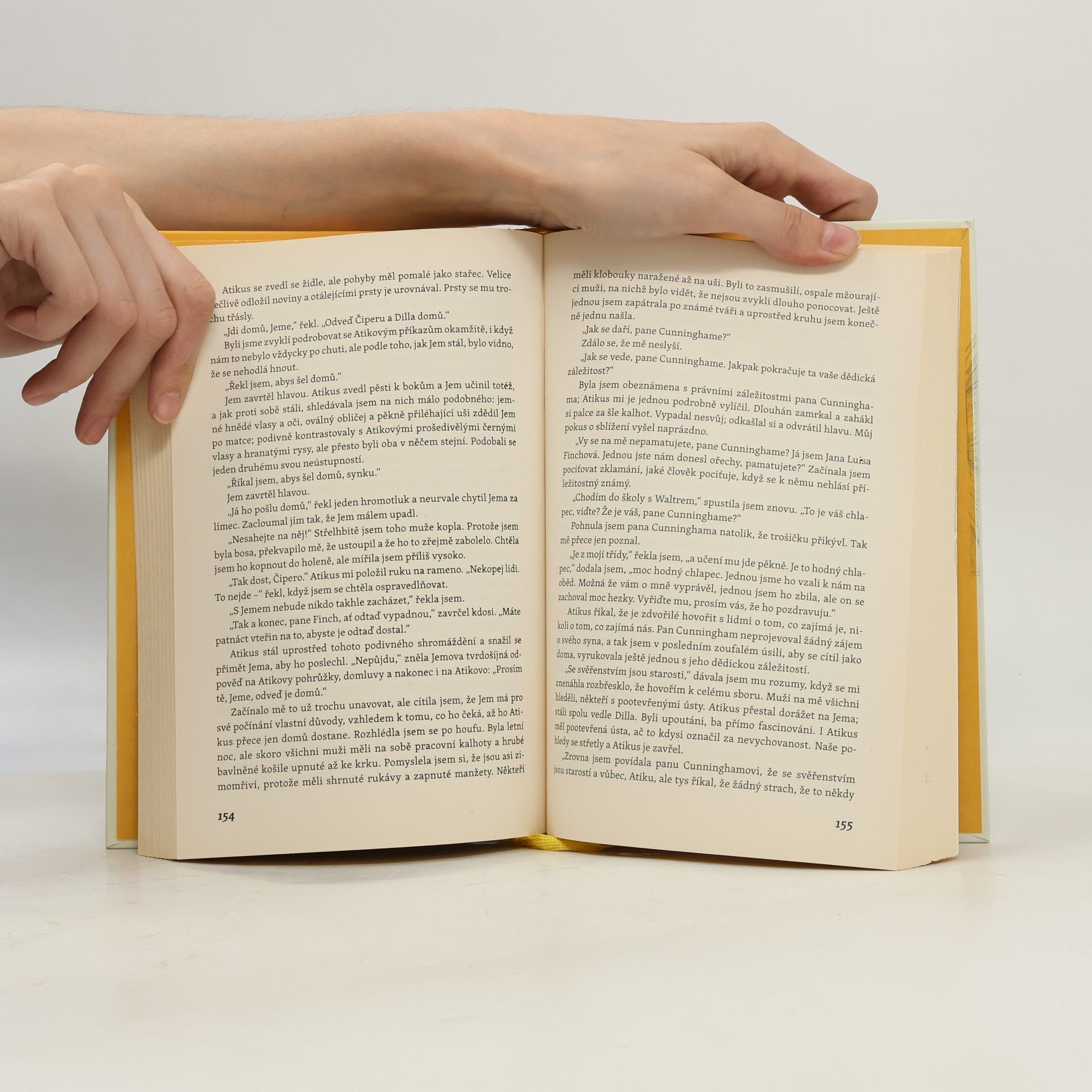Harper Lee Jako zabít ptáčka