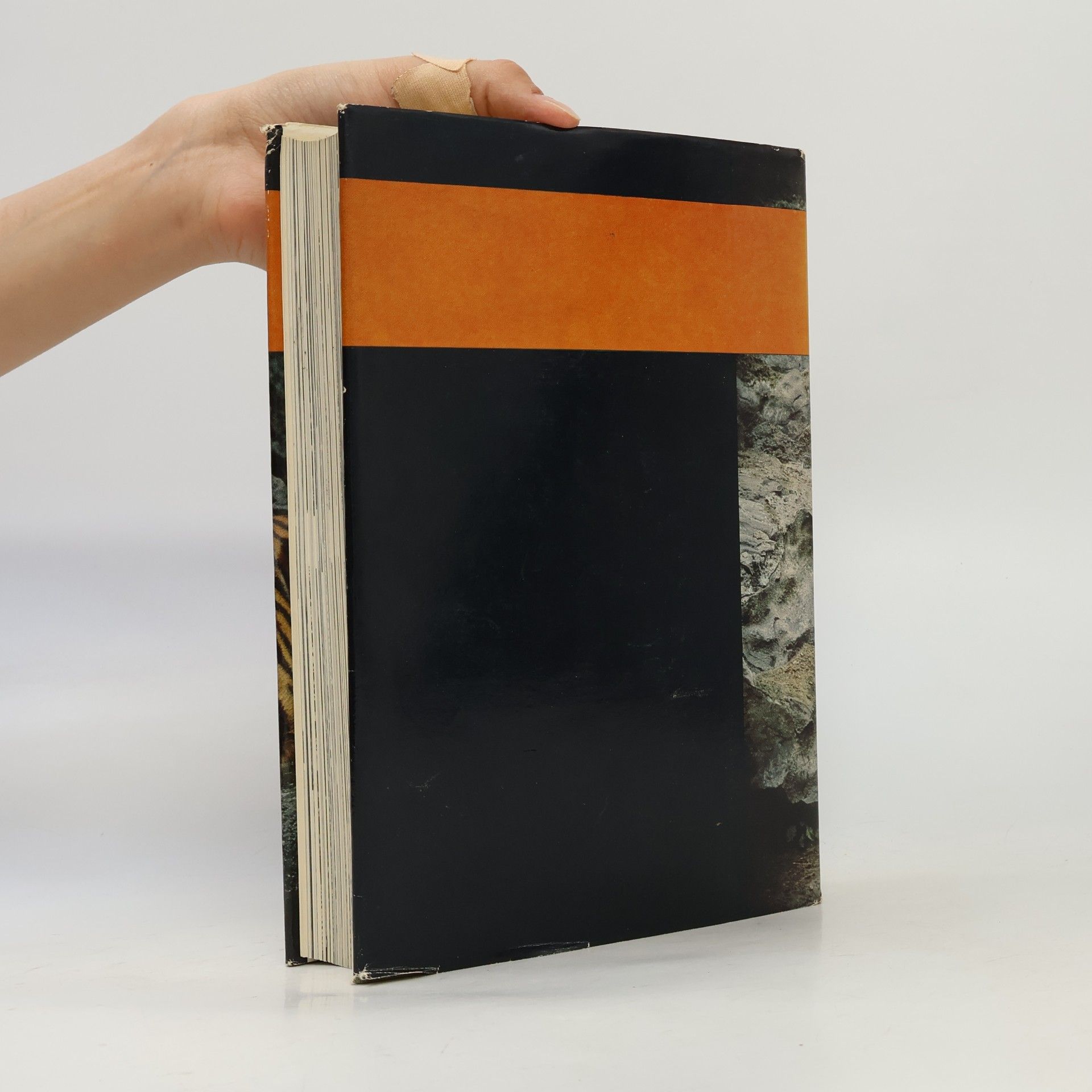 Autores varios Brehms Tierleben 1