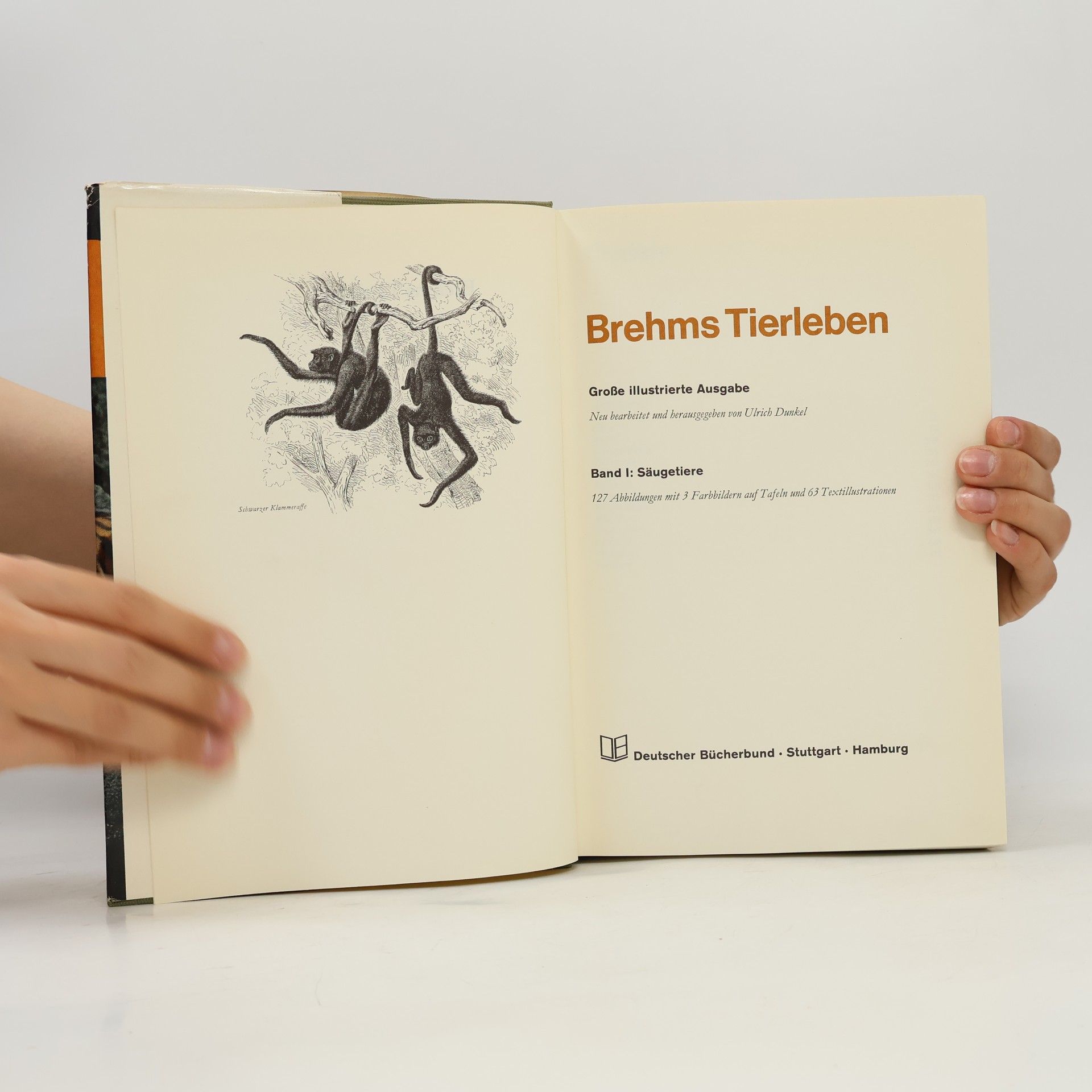 Autores varios Brehms Tierleben 1