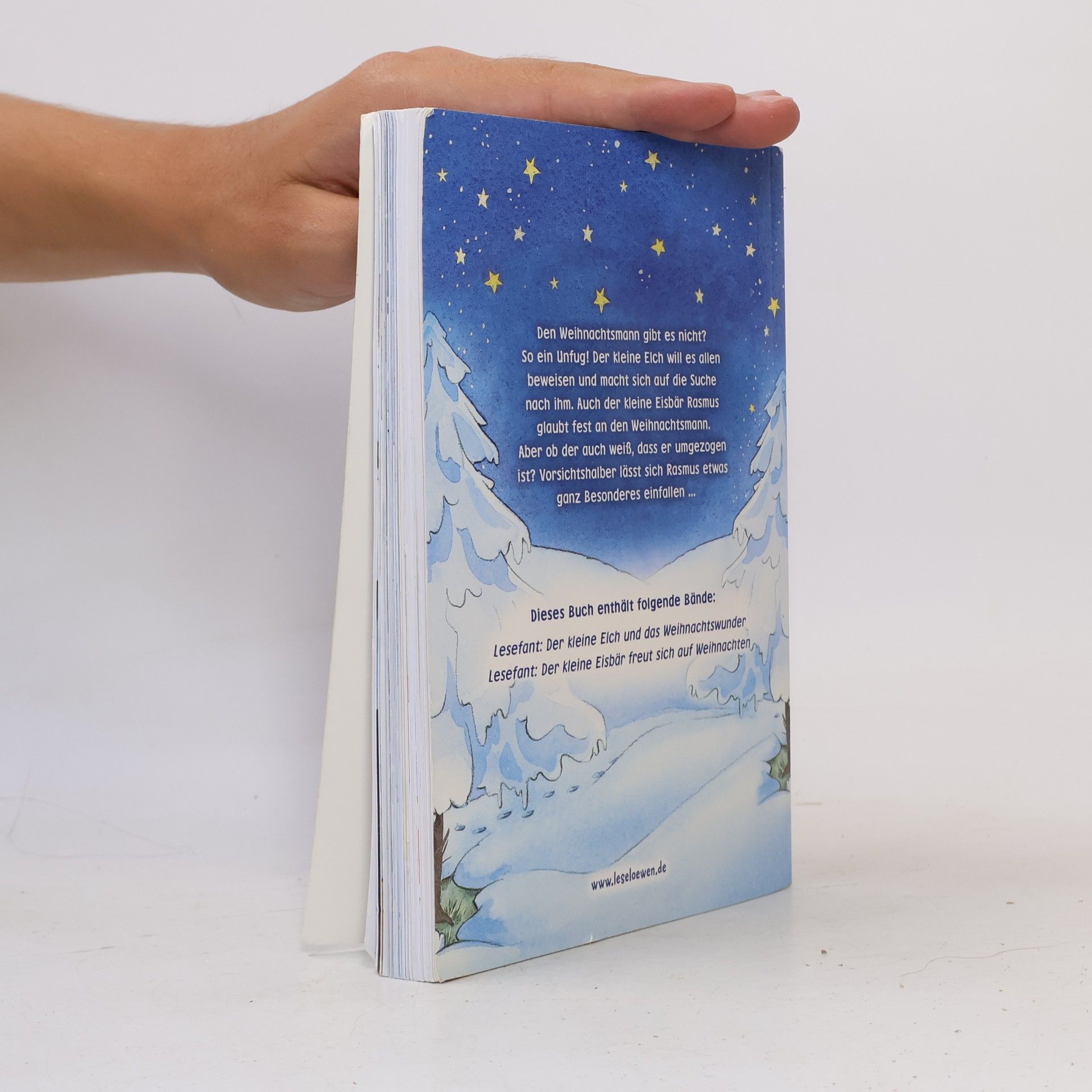Autorenkollektiv Abenteuer mit dem Weihnachtsmann