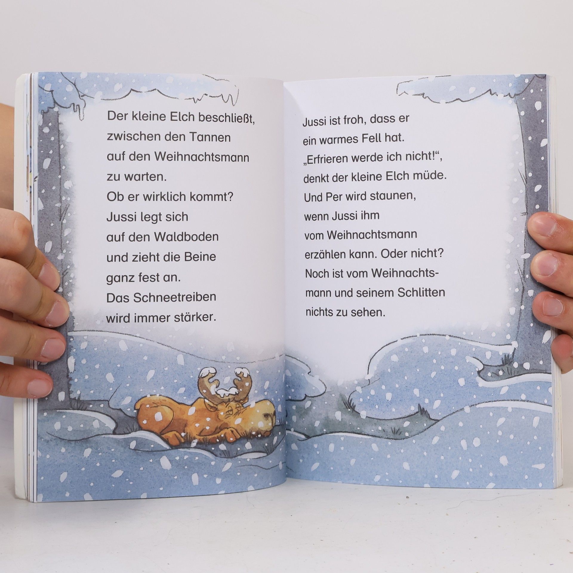Autorenkollektiv Abenteuer mit dem Weihnachtsmann