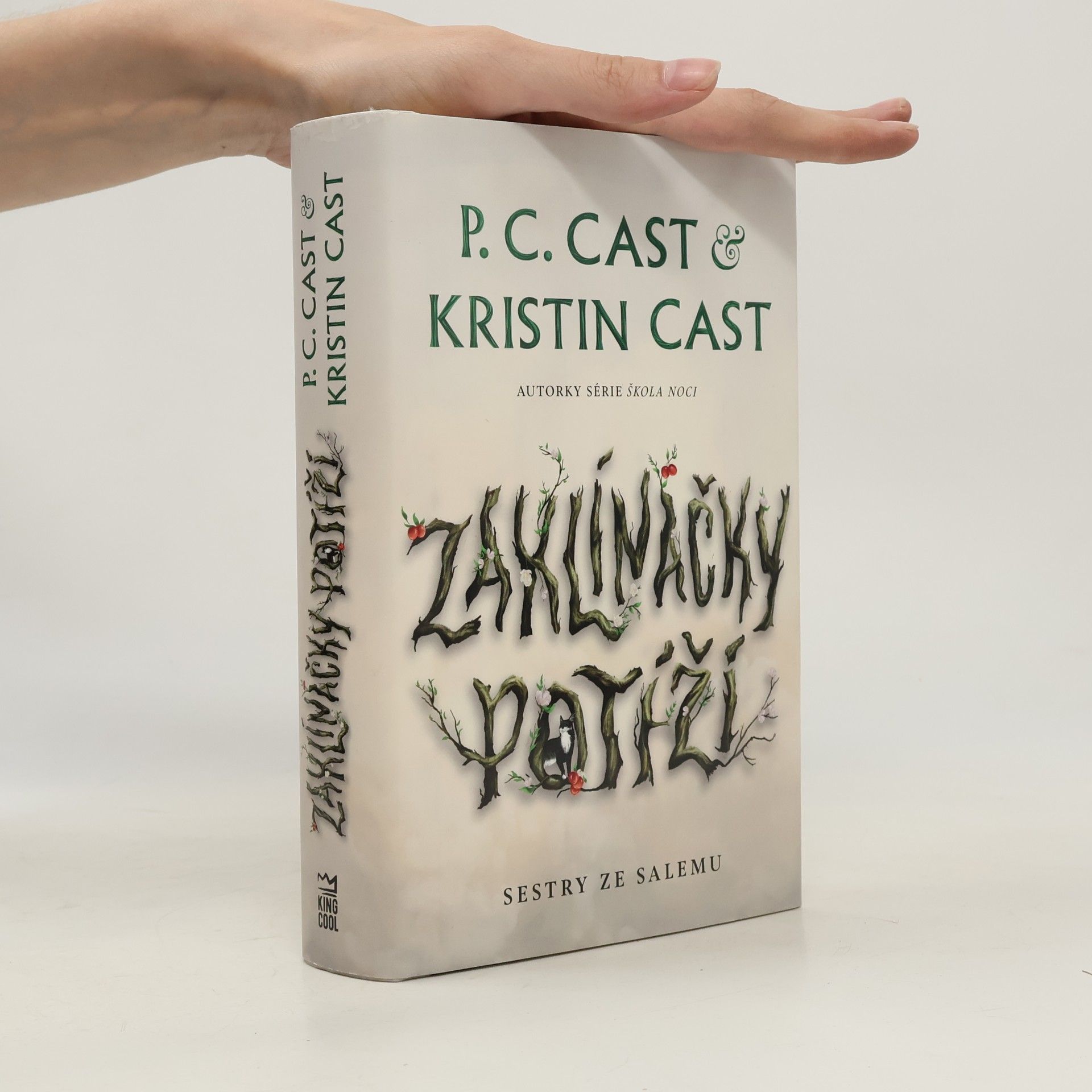 P. C. Cast Sestry ze Salemu. Zaklínačky potíží