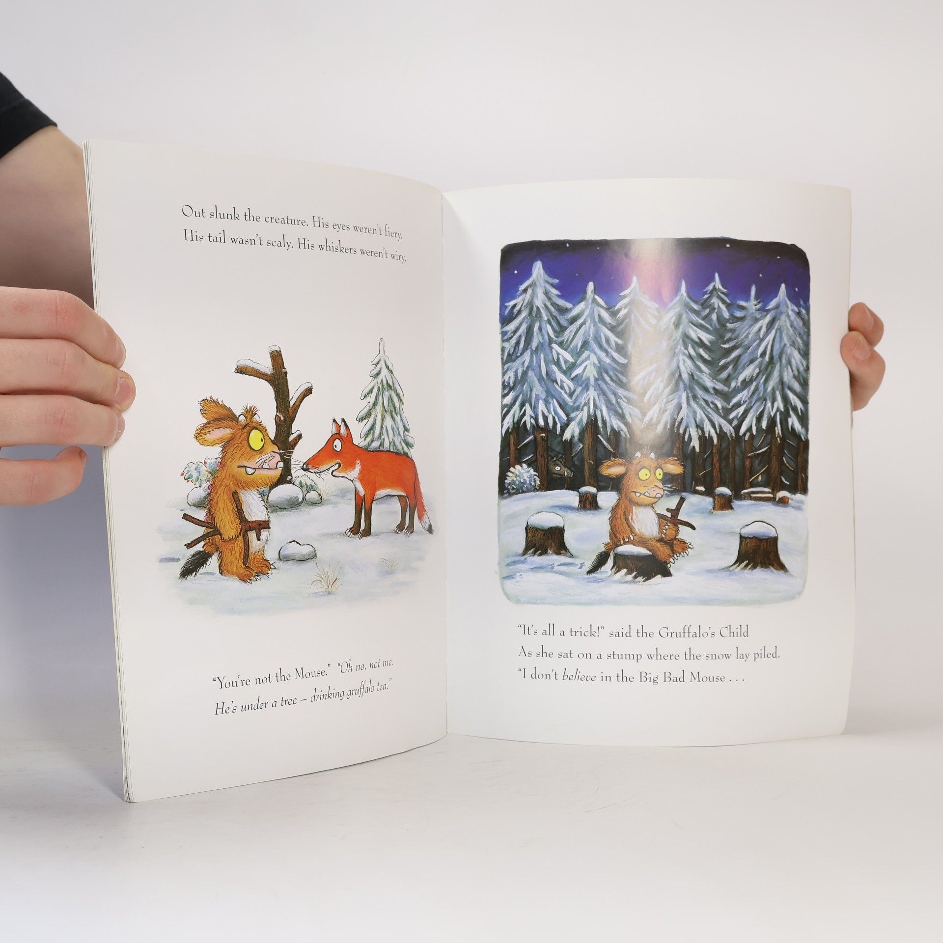 Julia Donaldson The Gruffalo´s child