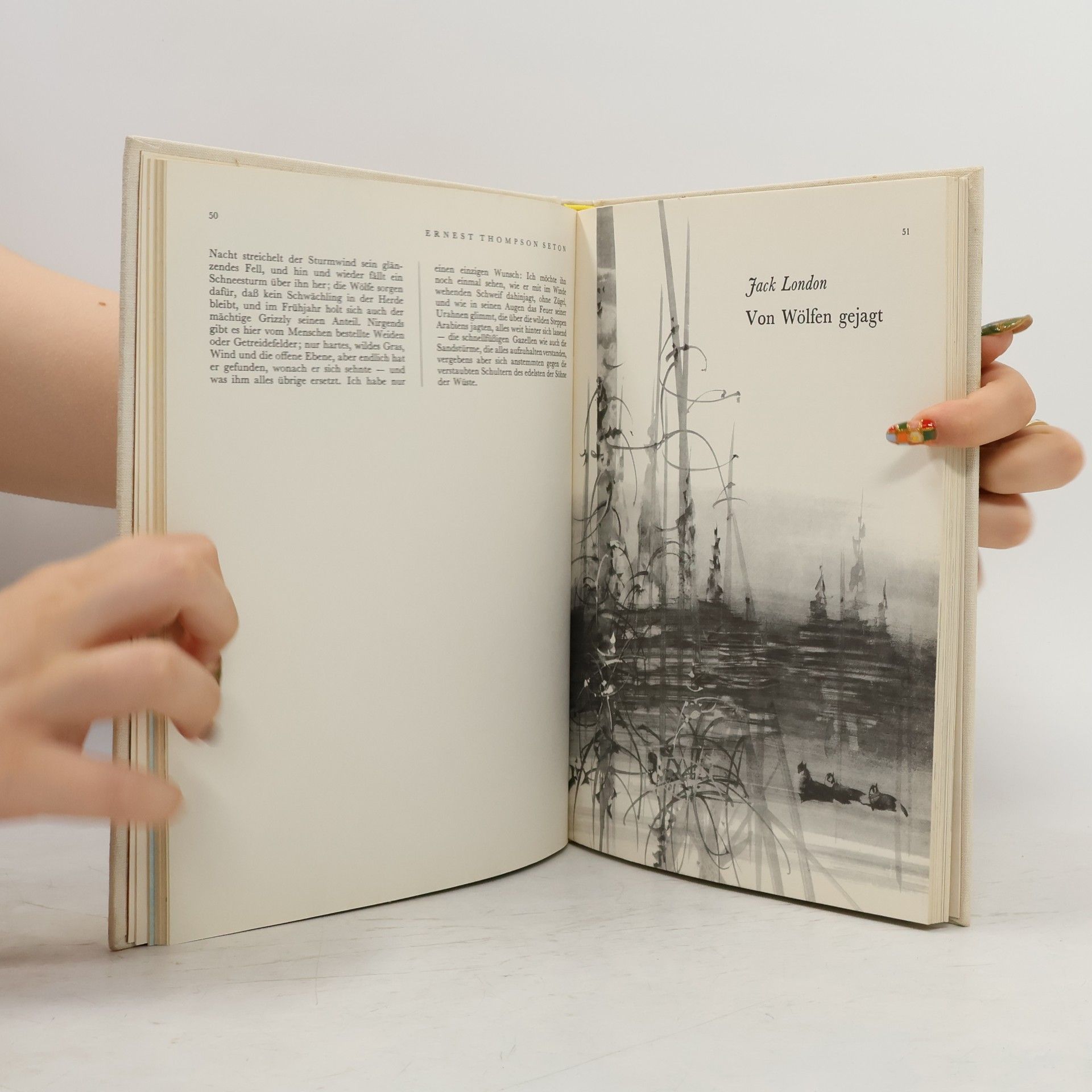 Allen Roy Evans Tiergeschichten der Weltliteratur