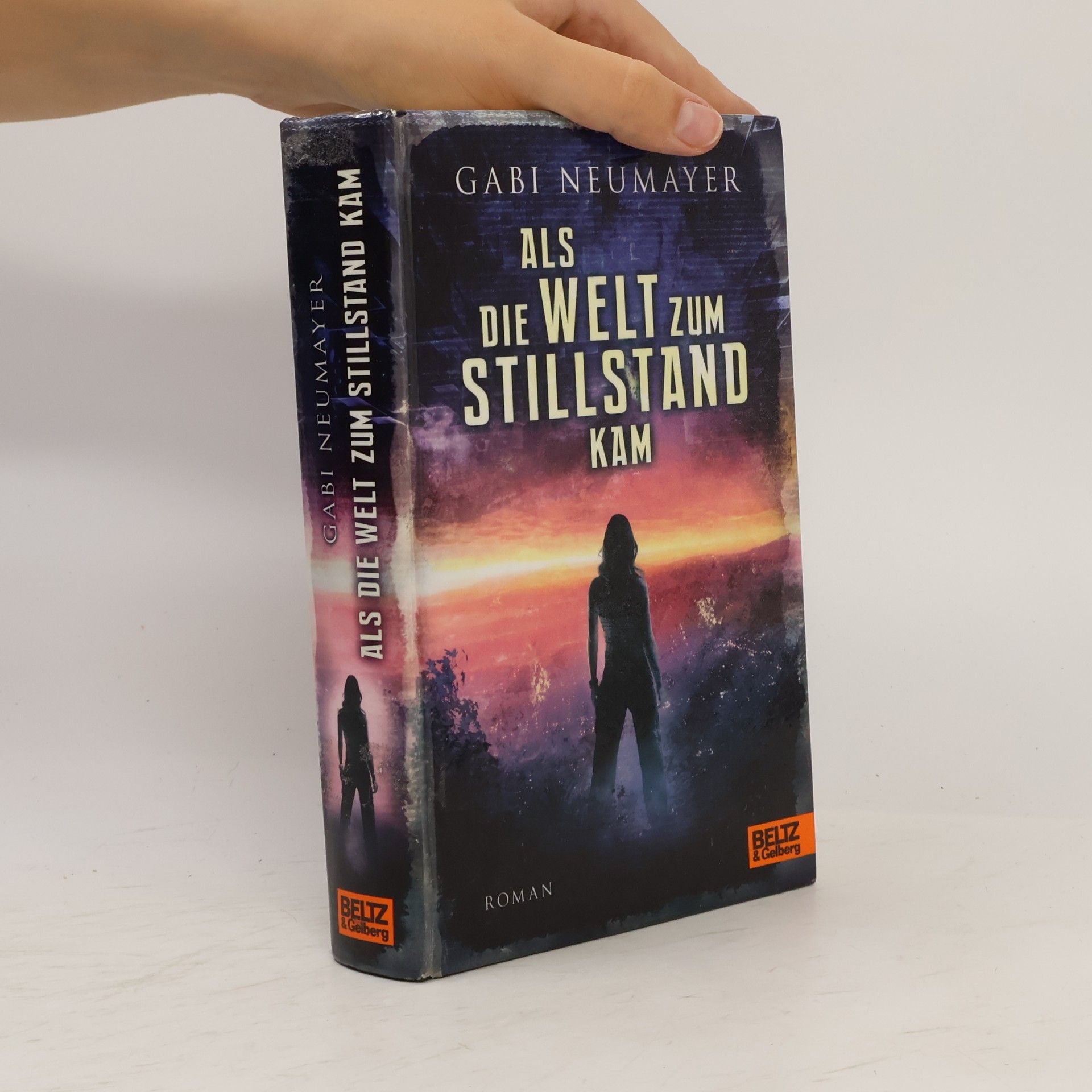 Gabi Neumayer Als die Welt zum Stillstand kam