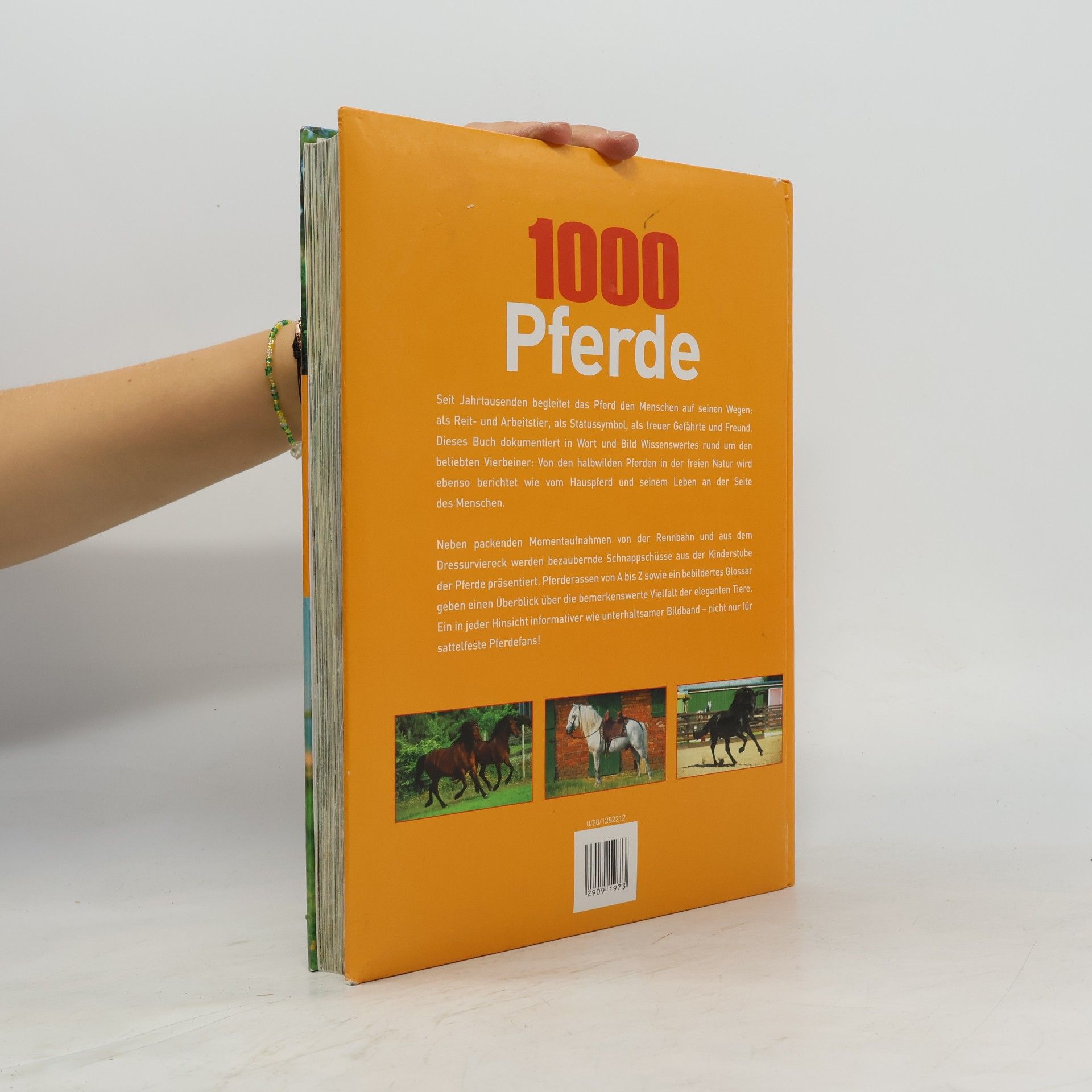 Auteurscollectief 1000 Pferde. Alles über Pferderassen, Haftung und Reitkunst