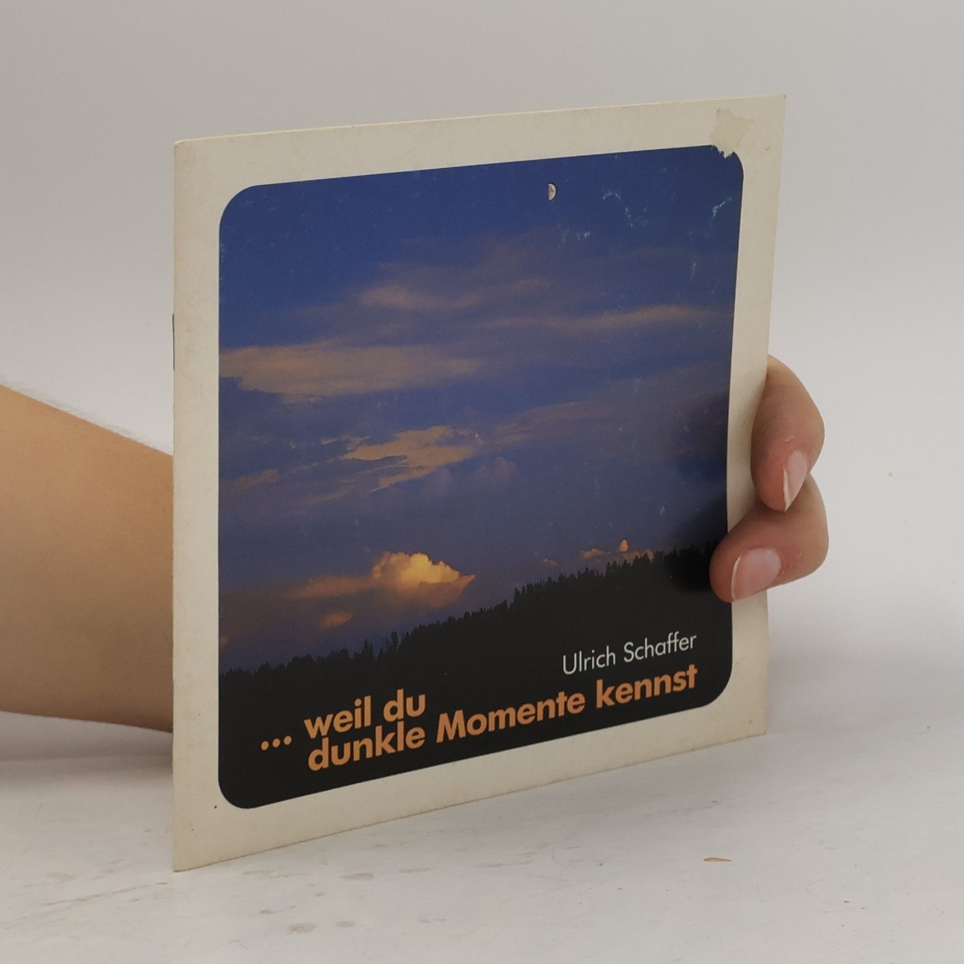 Ulrich Schaffer Weil du dunkle Momente kennst