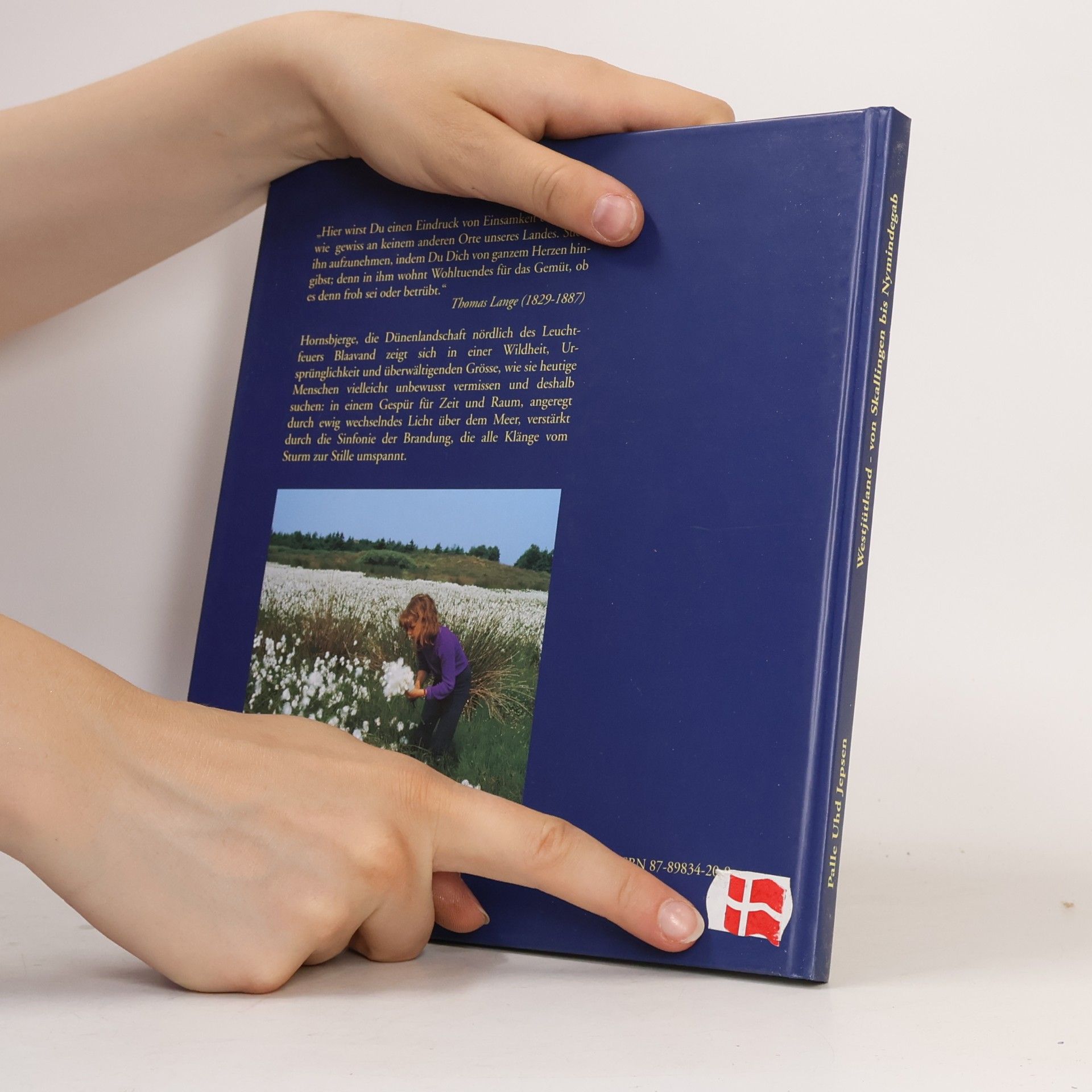 Palle Uhd Jepsen Westjütland