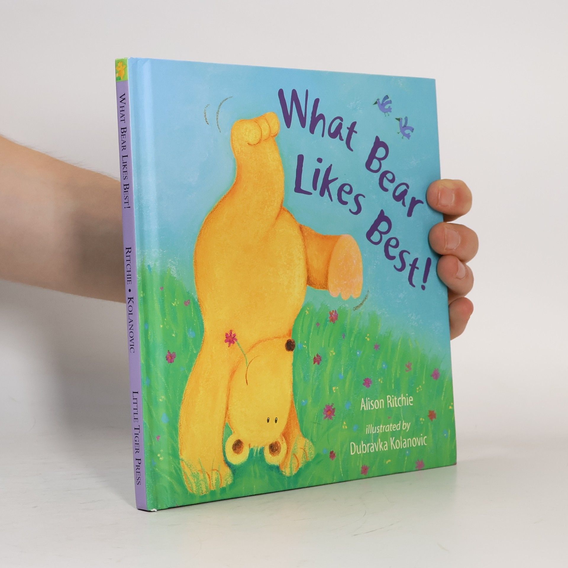 Alison Ritchie What Bear likes best!
