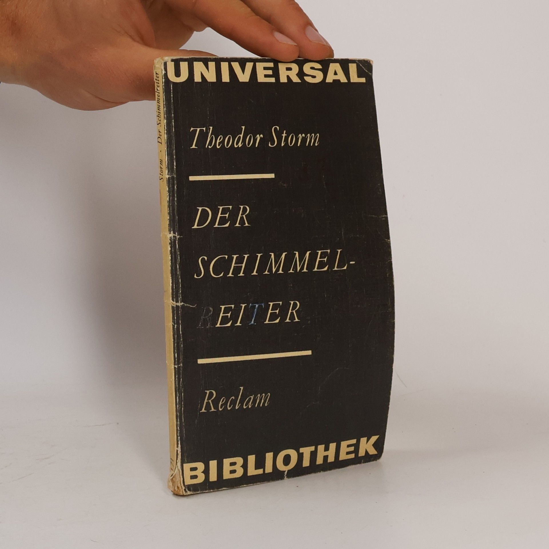 Theodor Storm Der Schimmelreiter