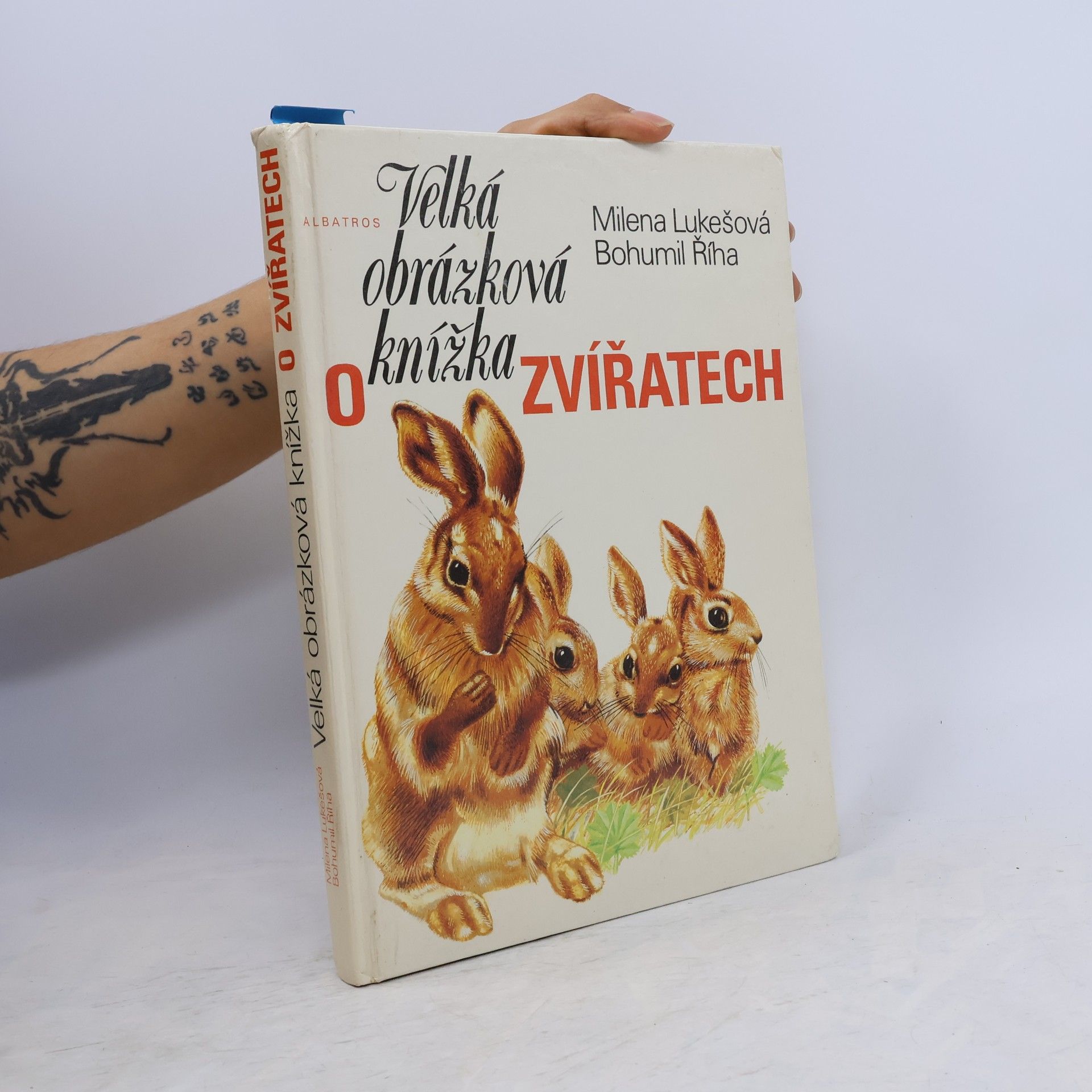 Velká obrázková knížka o zvířatech
