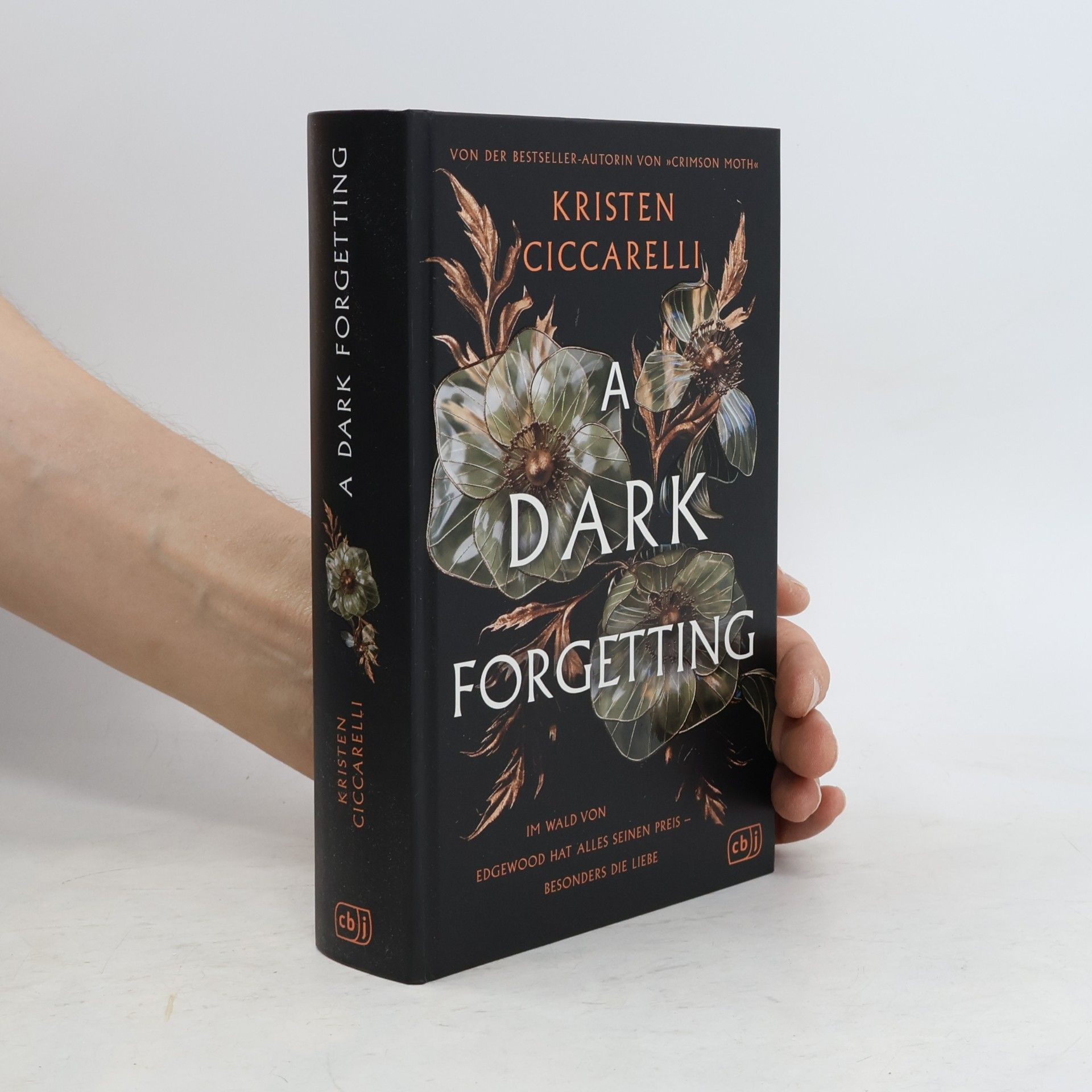 Kristen Ciccarelli A Dark Forgetting