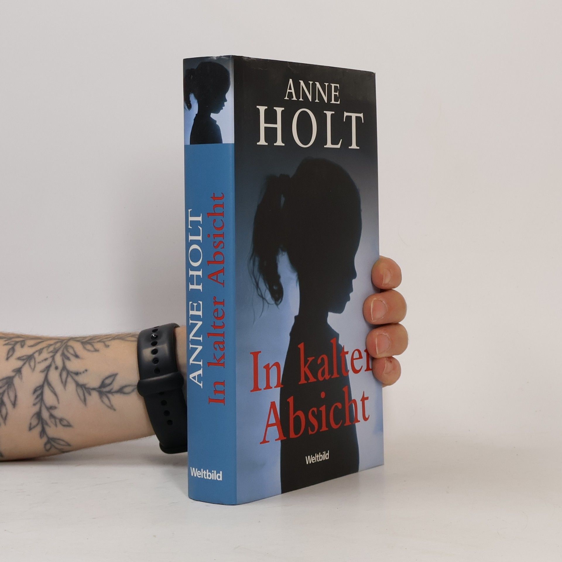 Anne Holt In kalter Absicht