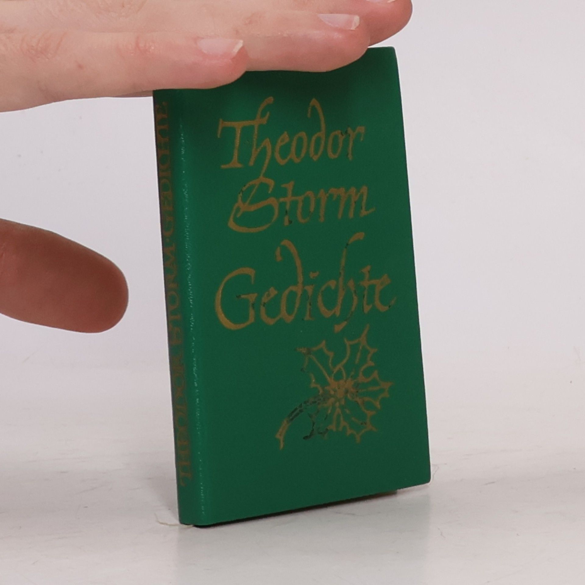 Theodor Storm Gedichte