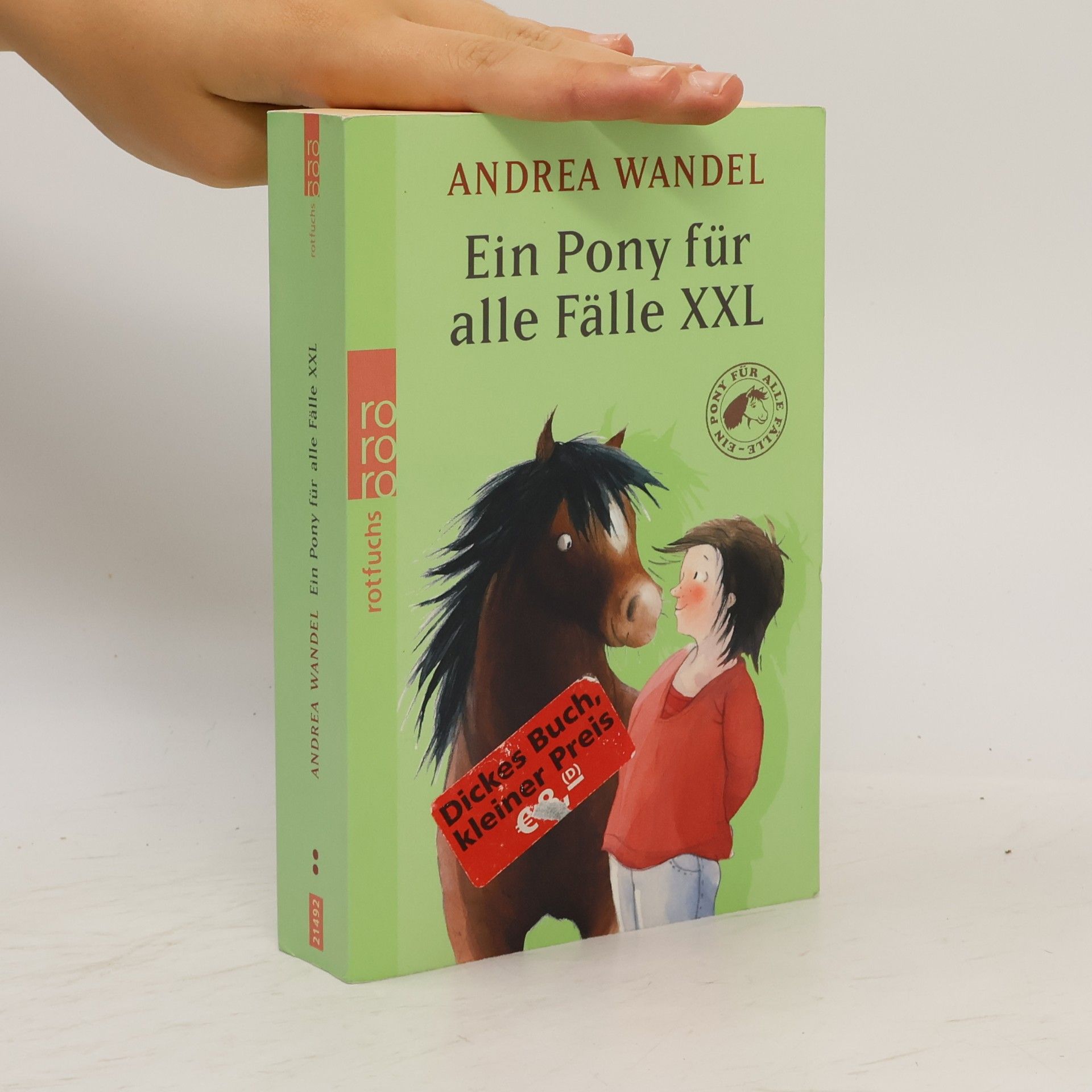 Andrea Wandel Ein Pony für alle Fälle XXL