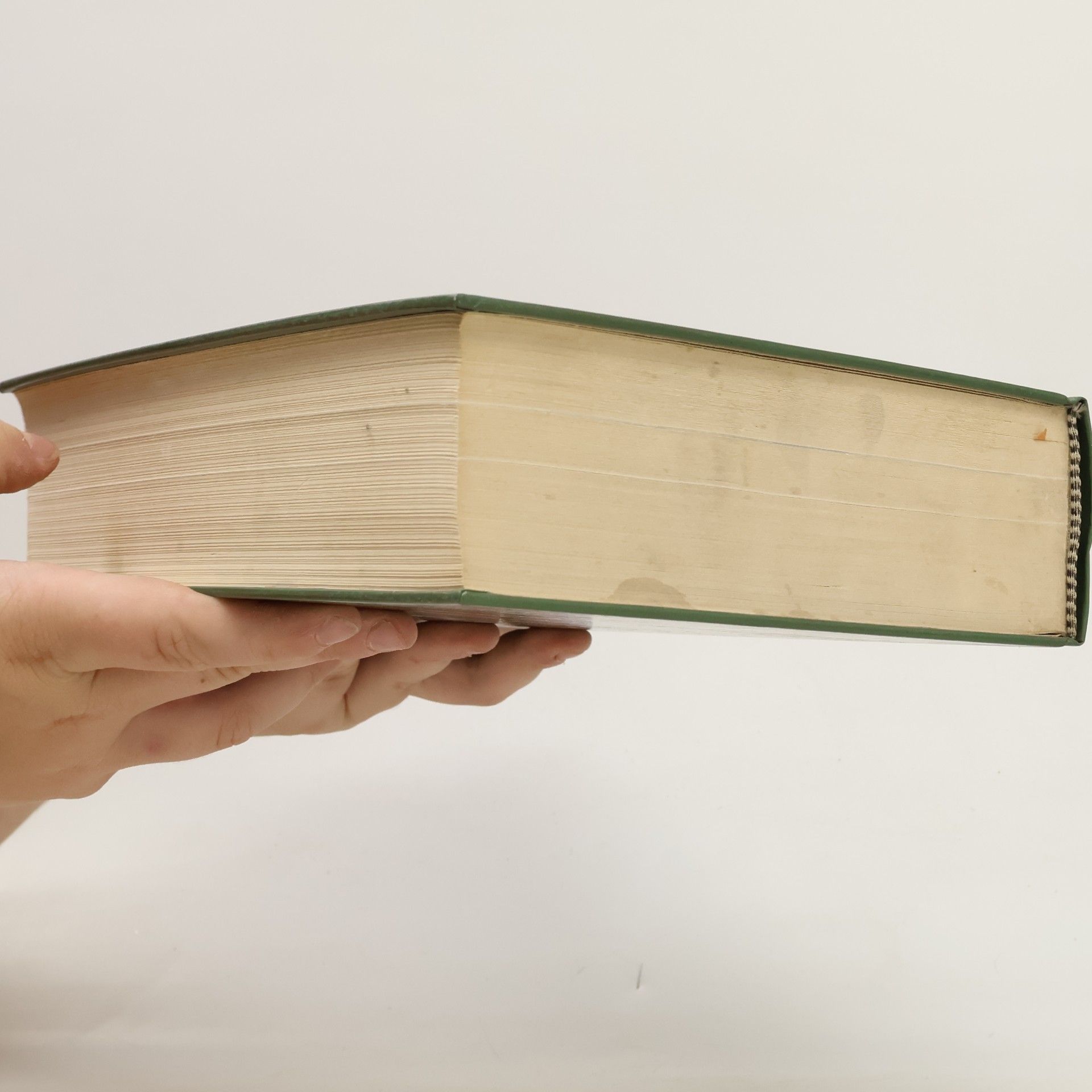 Josef H. Kaiser Das Grosse Kneipp Buch