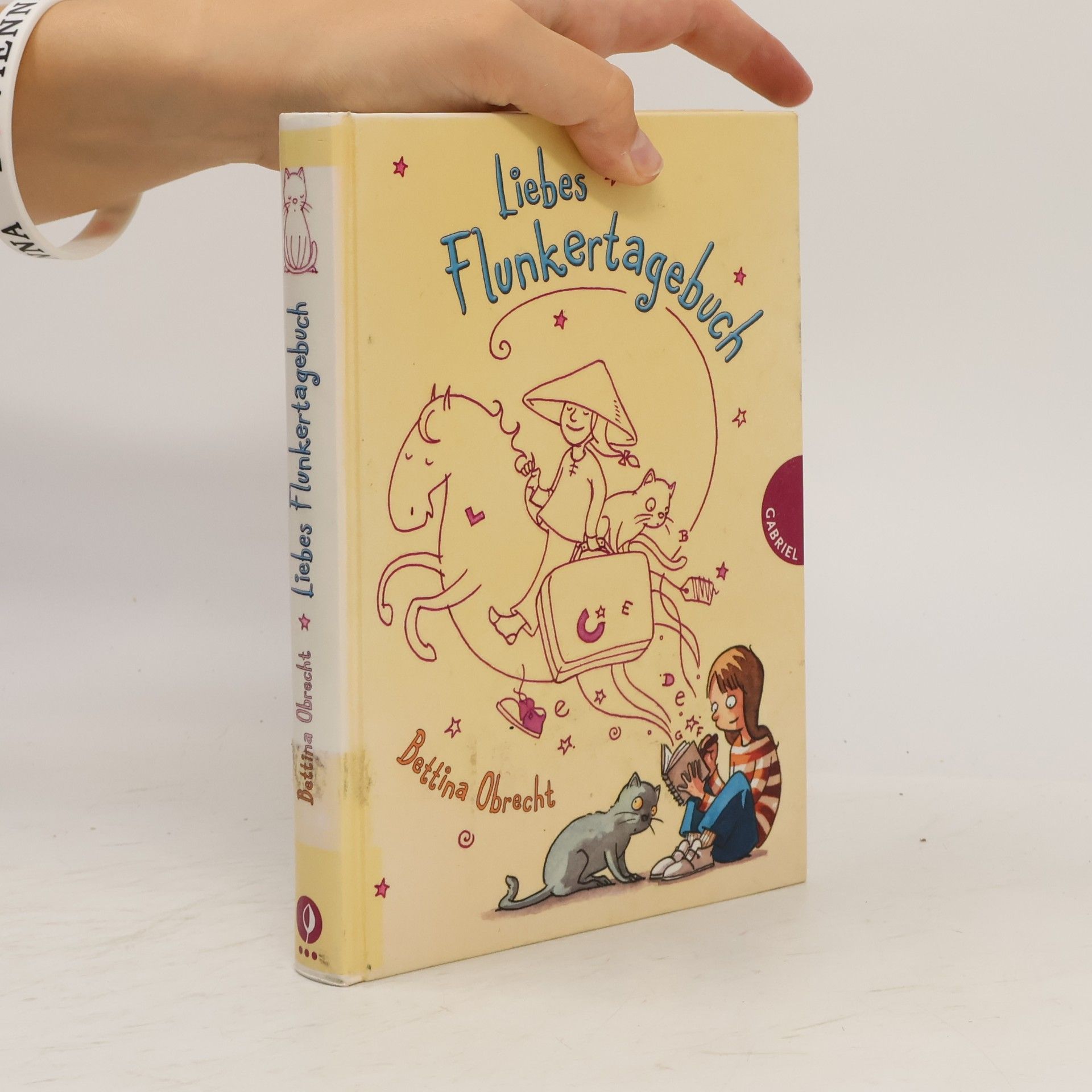 Liebes Flunkertagebuch