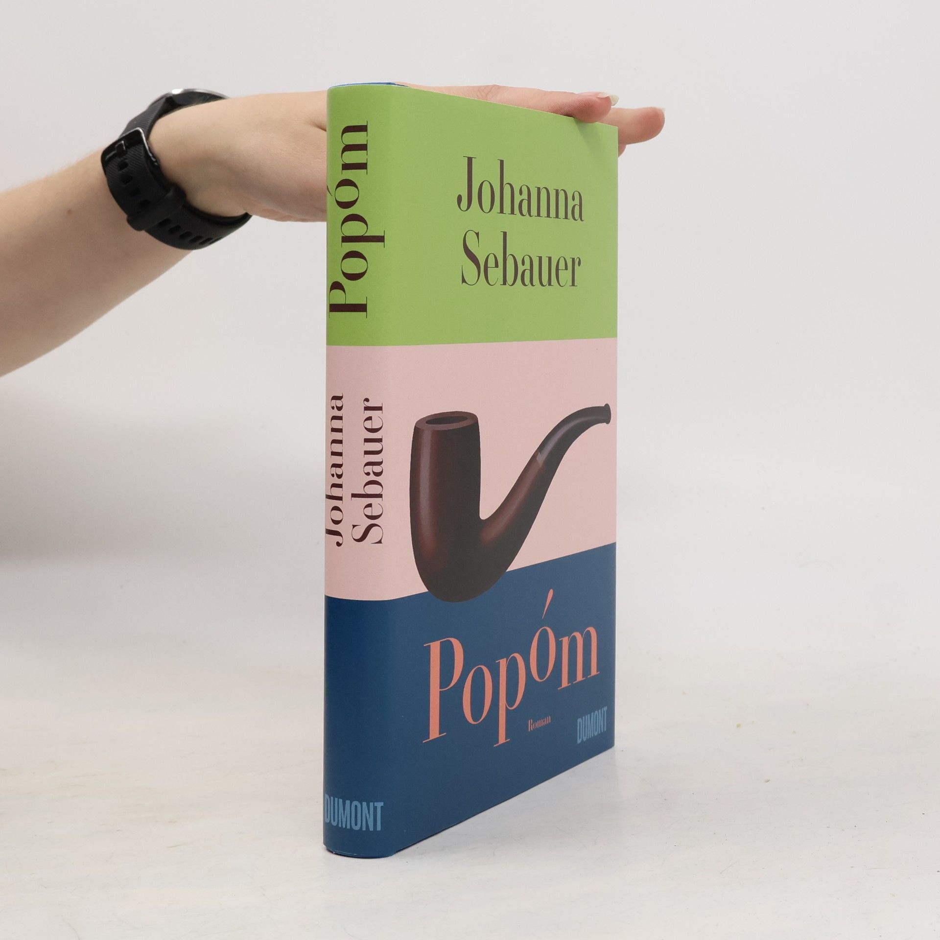 Johanna Sebauer Popóm: Roman