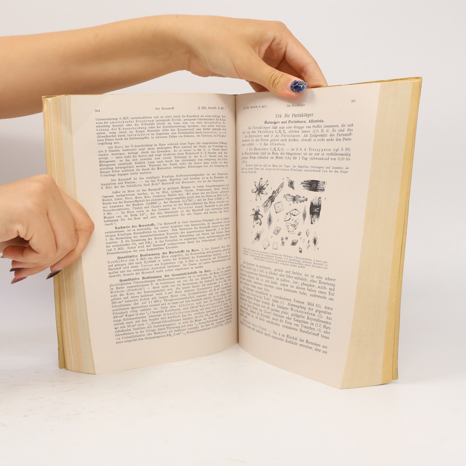 Leonard Landois Lehrbuch der Physiologie des Menschen