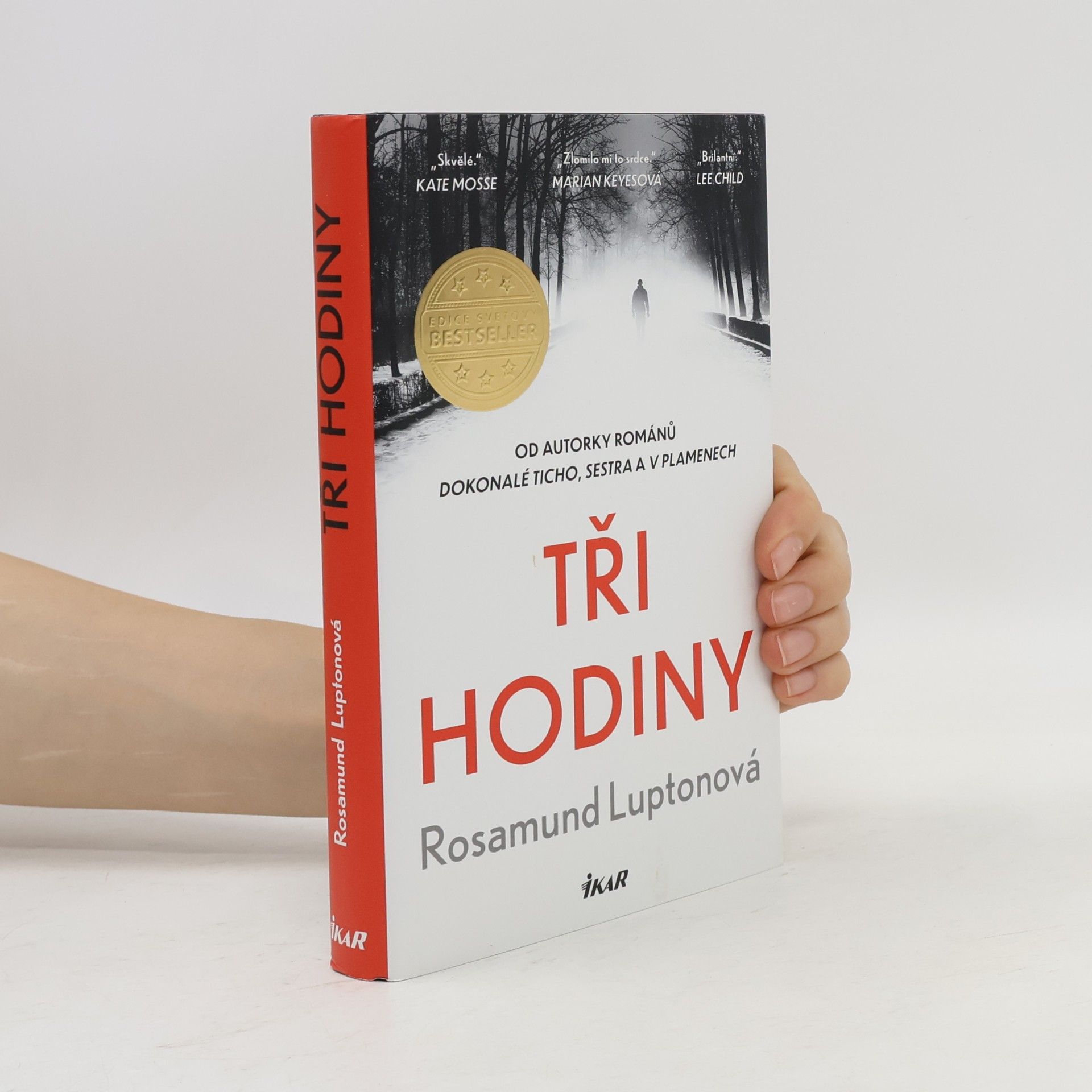 Rosamund Lupton Tři hodiny