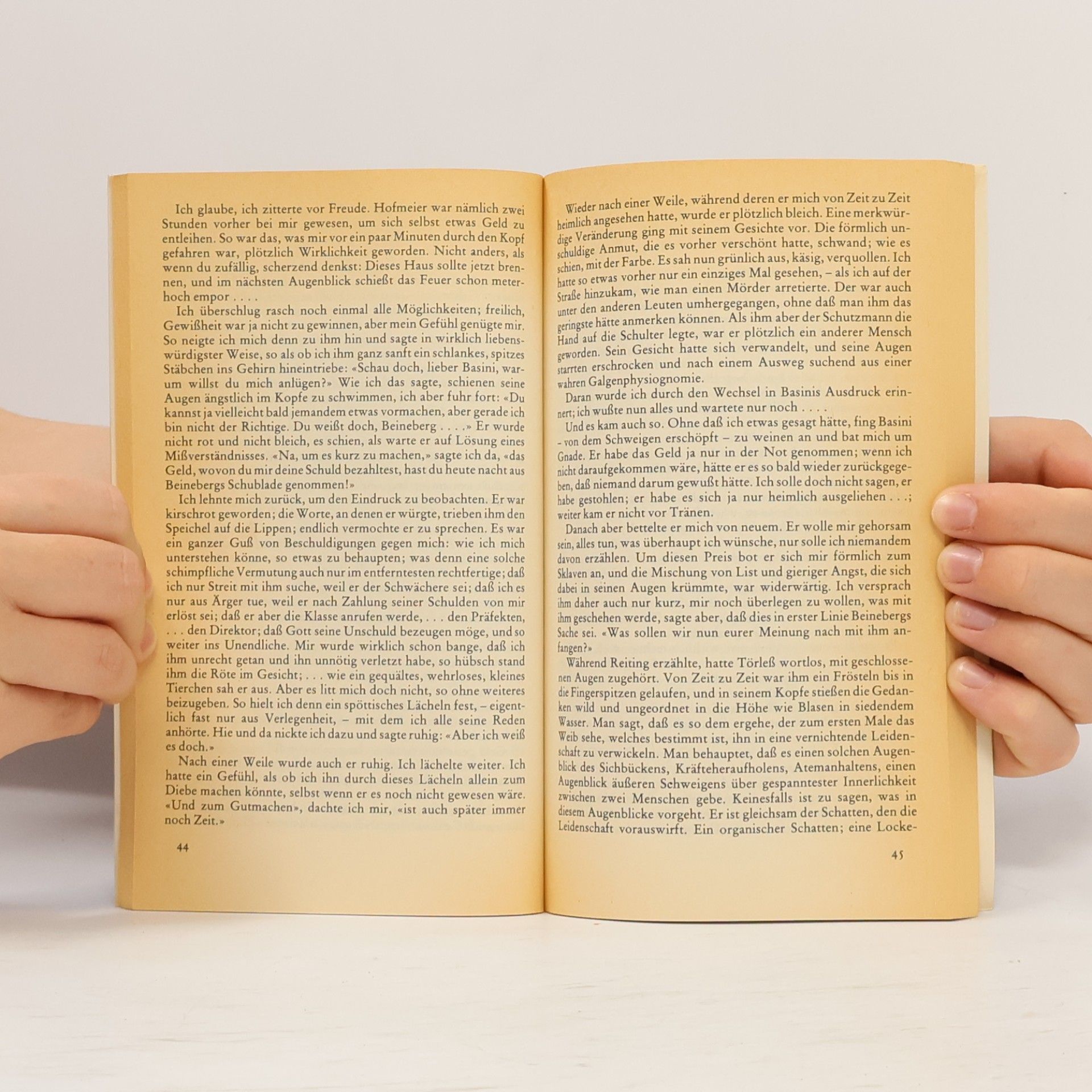 Robert Musil Die Verwirrungen des Zöglings Törleß
