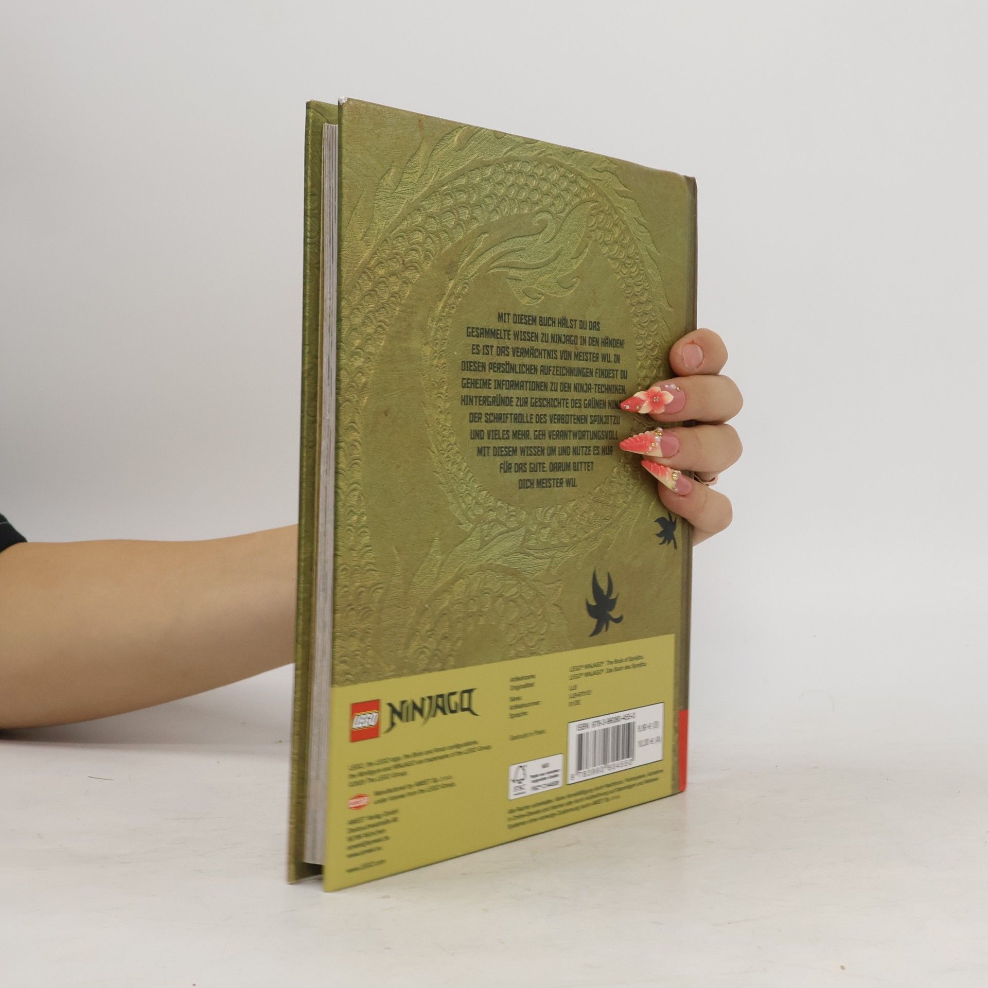 Auteurscollectief LEGO Ninjago. Das Buch des Spinjitzu