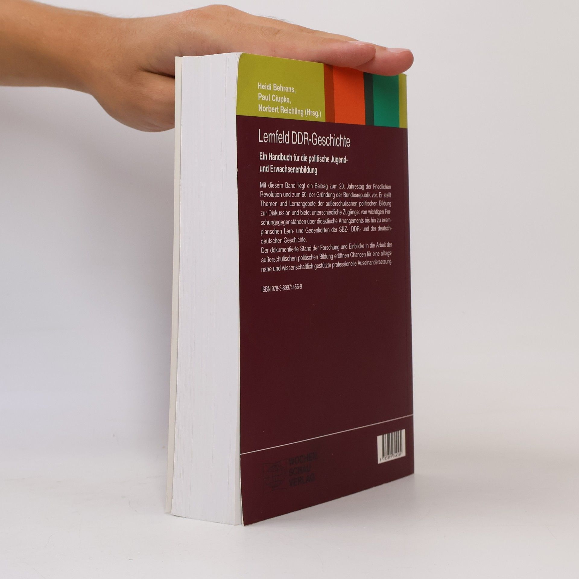 Lernfeld DDR-Geschichte: Ein Handbuch für die politische Jugend- und Erwachsenenbildung (Politik und Bildung)