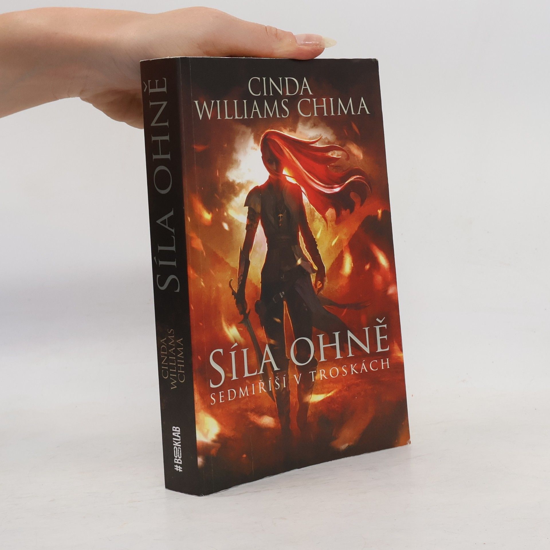 Cinda Williams Chima Sedmiříší v troskách. Síla ohně