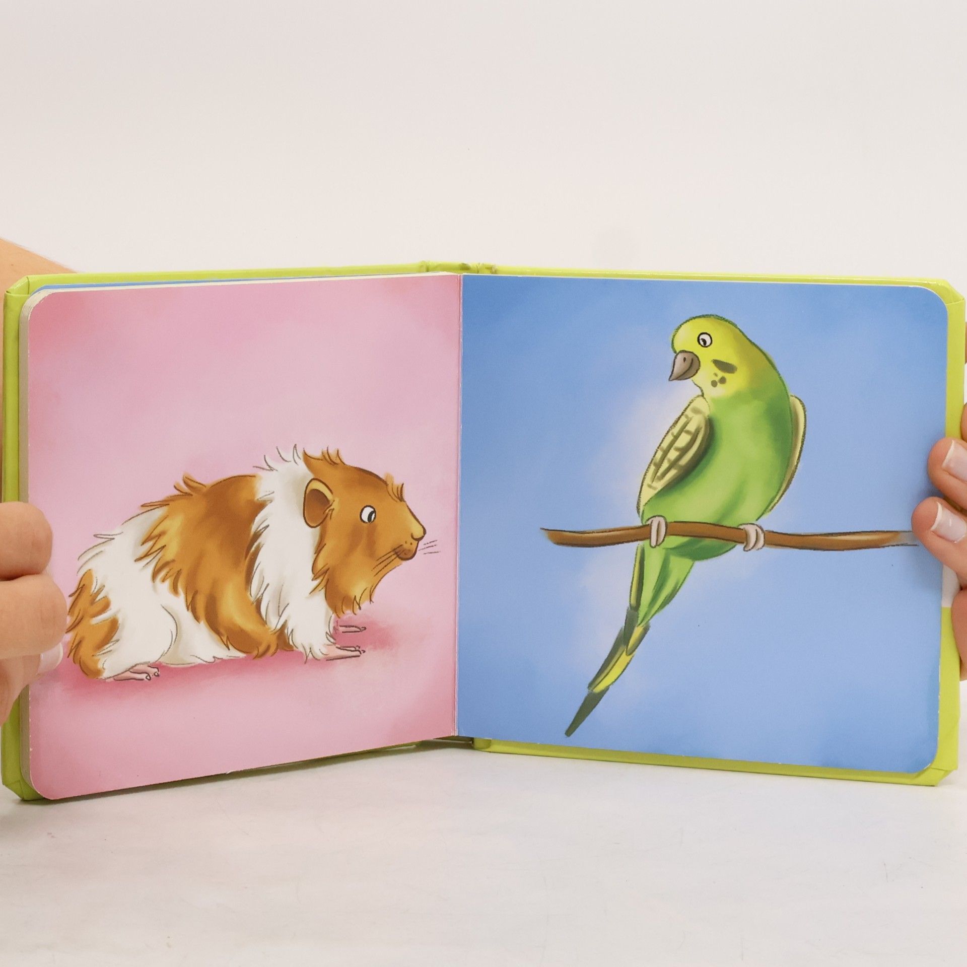 Collectif d'auteurs Meine bunte Tierwelt