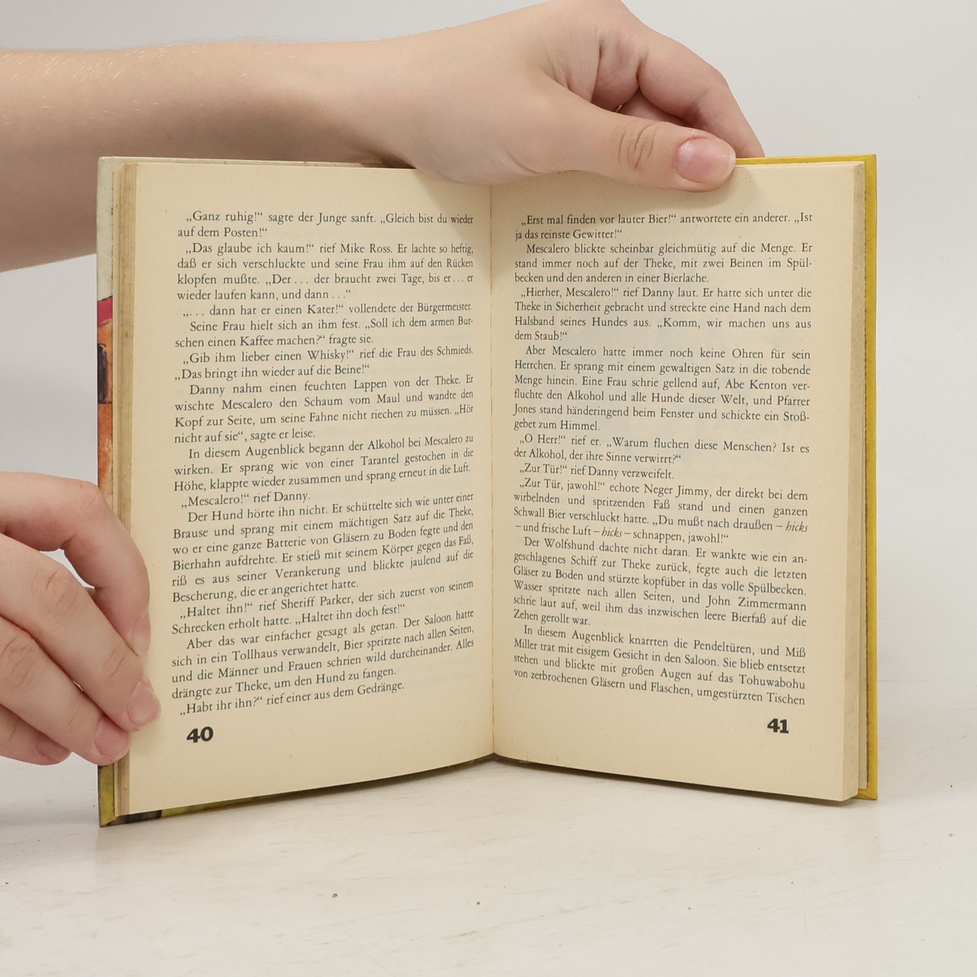 Autorenkollektiv Dannys Streiche im Wilden Westen