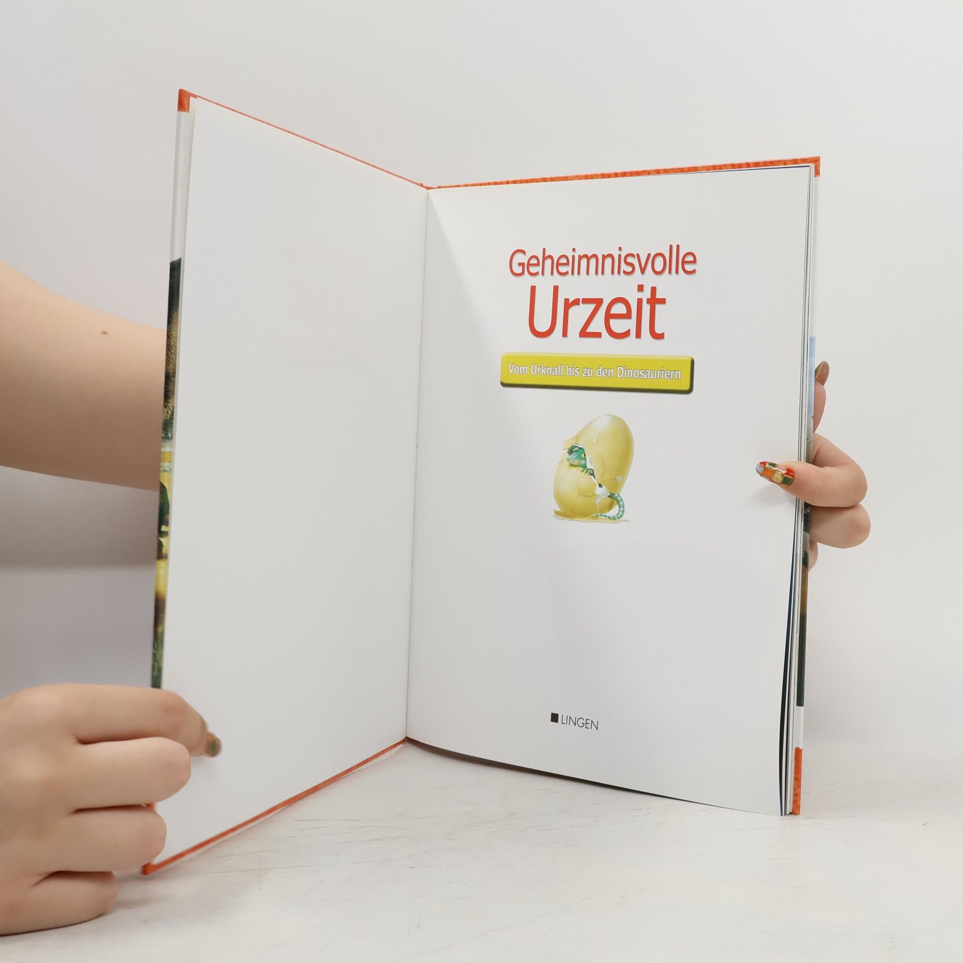 Collectif d'auteurs Geheimnisvolle Urzeit