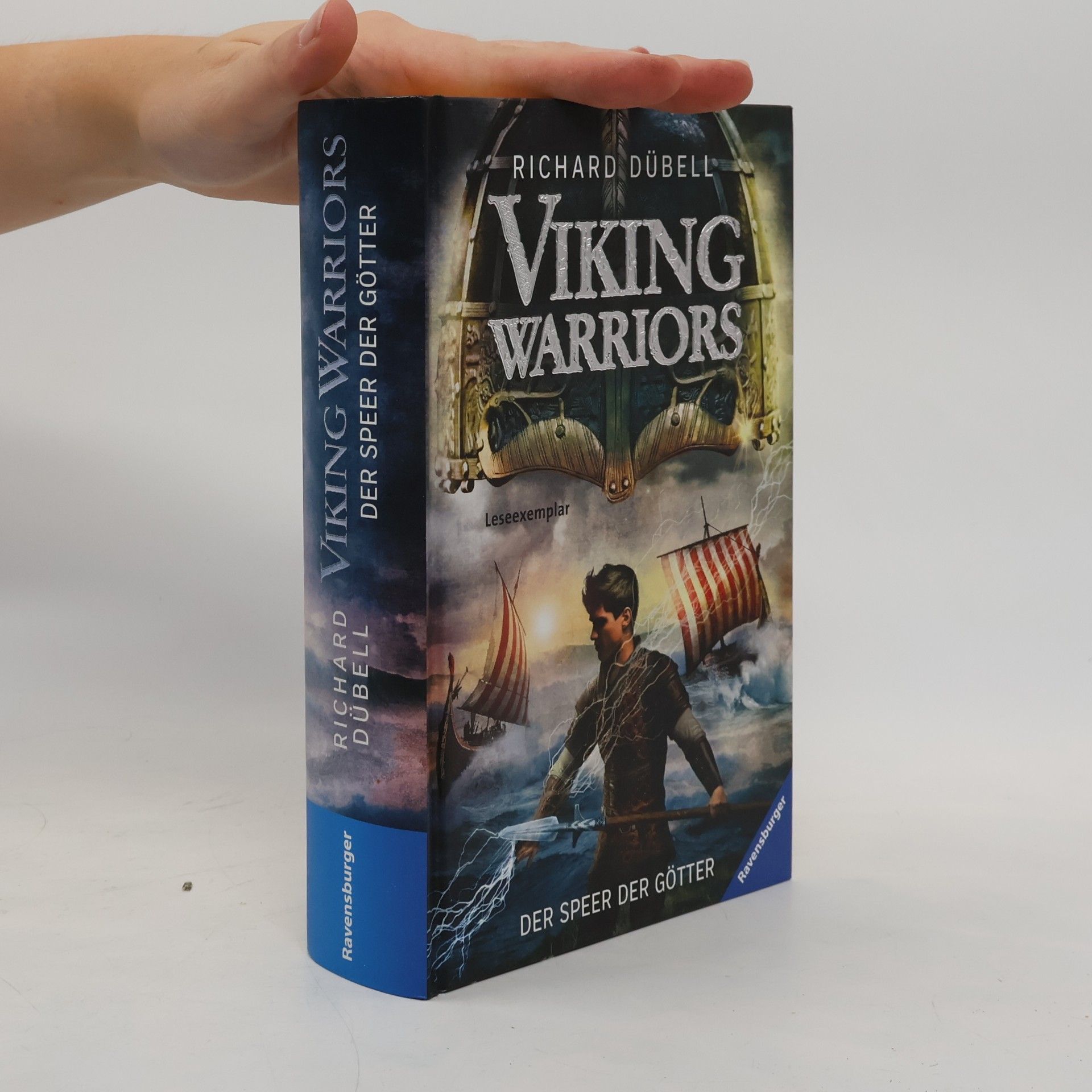 Richard Dübell Viking Warriors. Der Speer der Götter