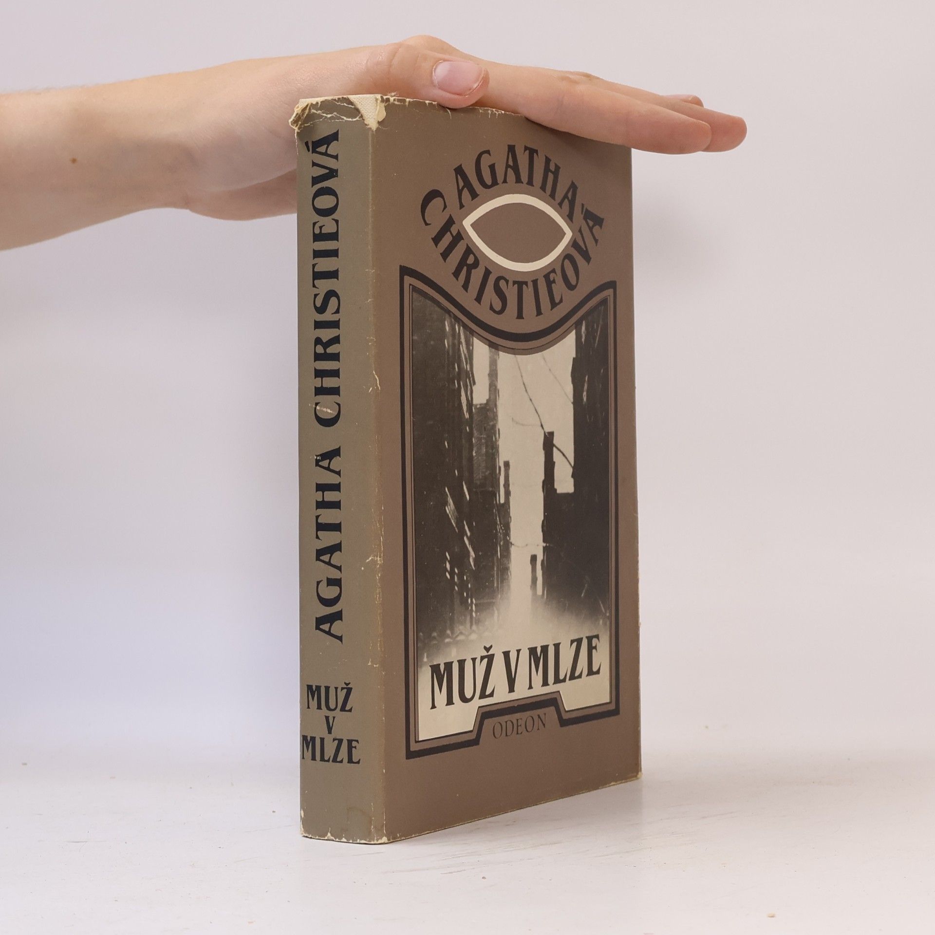 Agatha Christie Muž v mlze