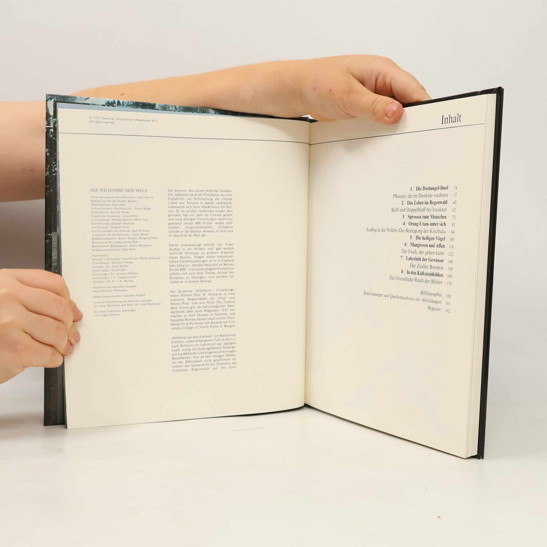 Autorenkollektiv Borneo. Die Wildnisse Der Welt Time-Life Bücher