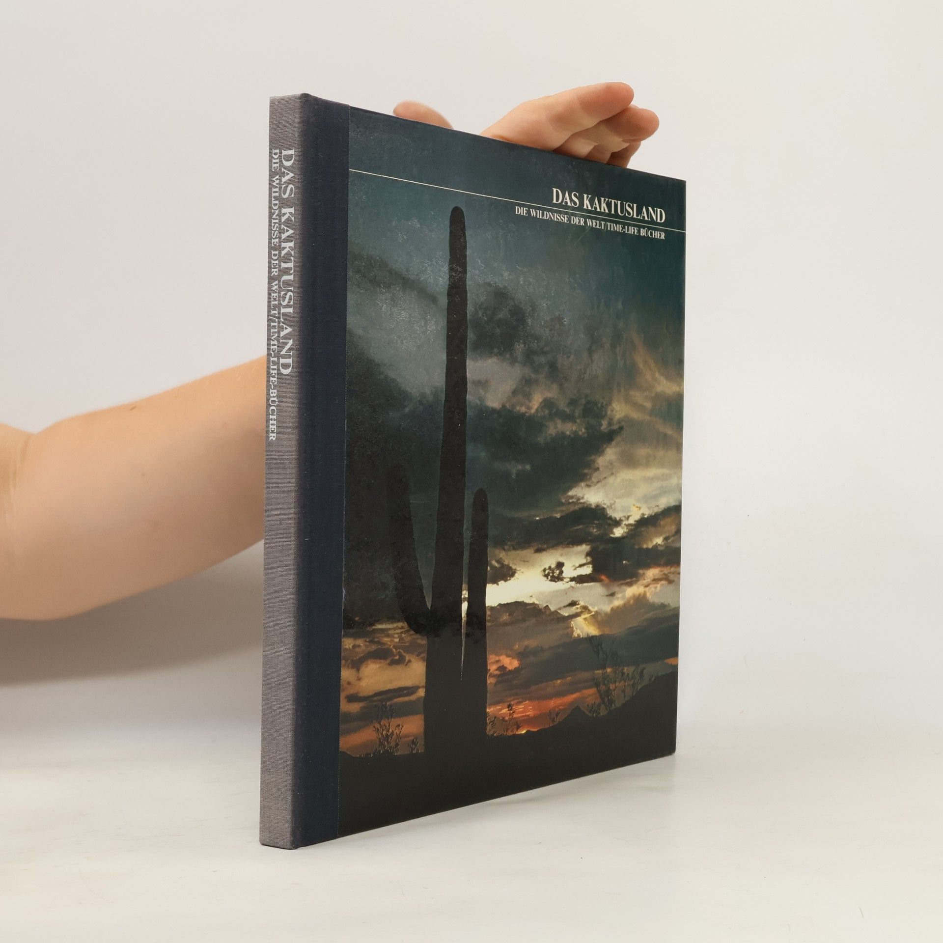 Edward Abbey Das Kaktusland