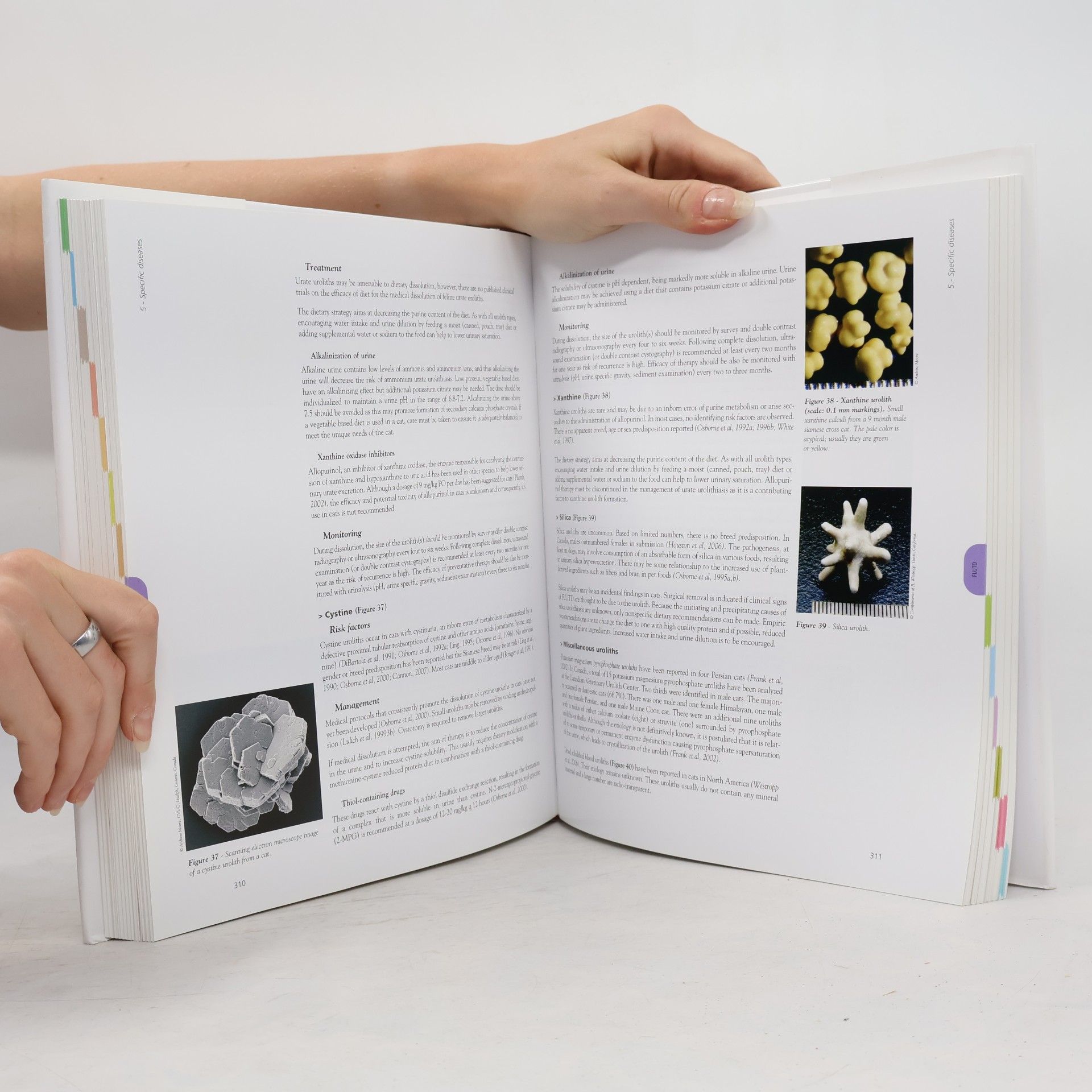 Pascale Pibot Encyclopedia of Feline Clinical Nutrition