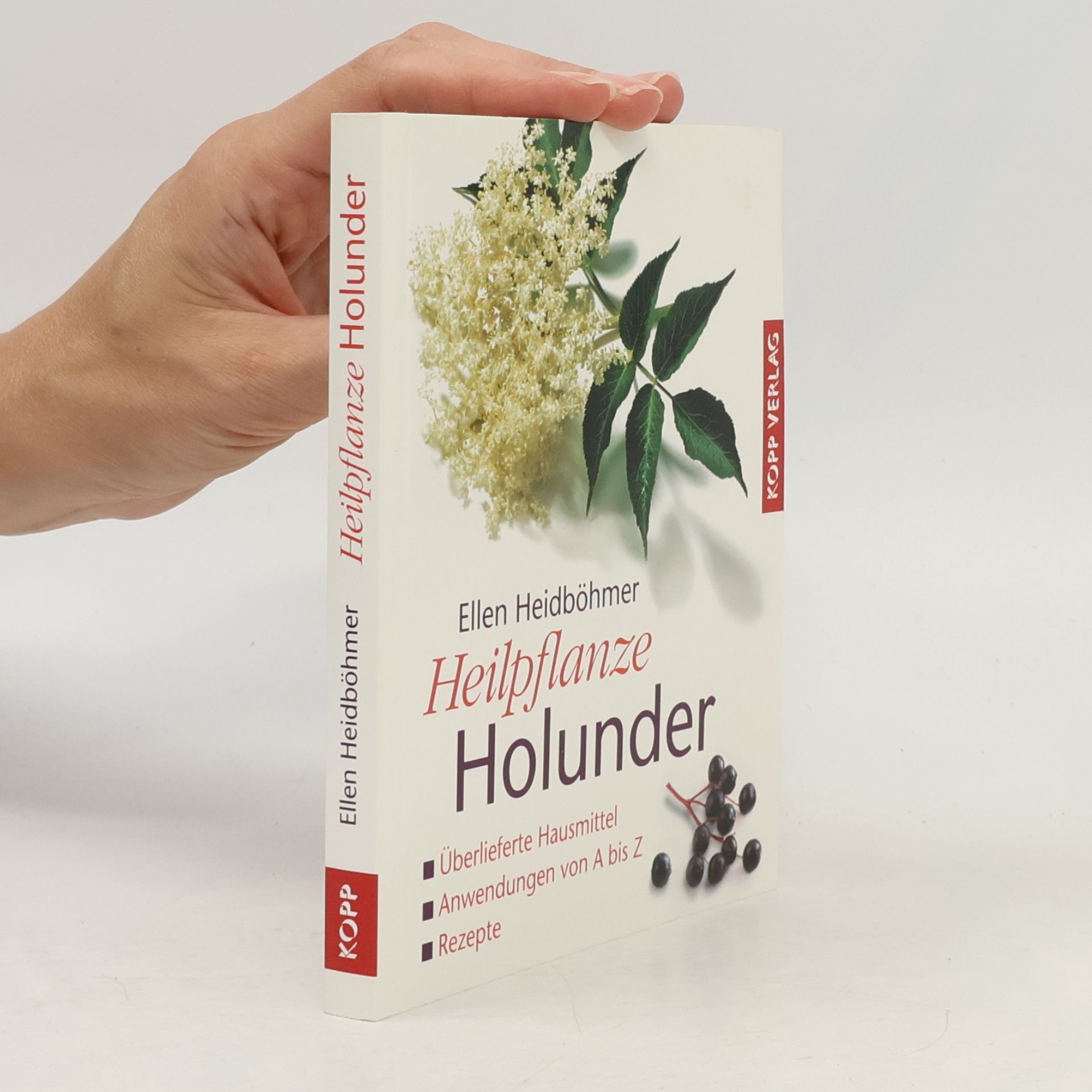 Ellen Heidböhmer Heilpflanze Holunder