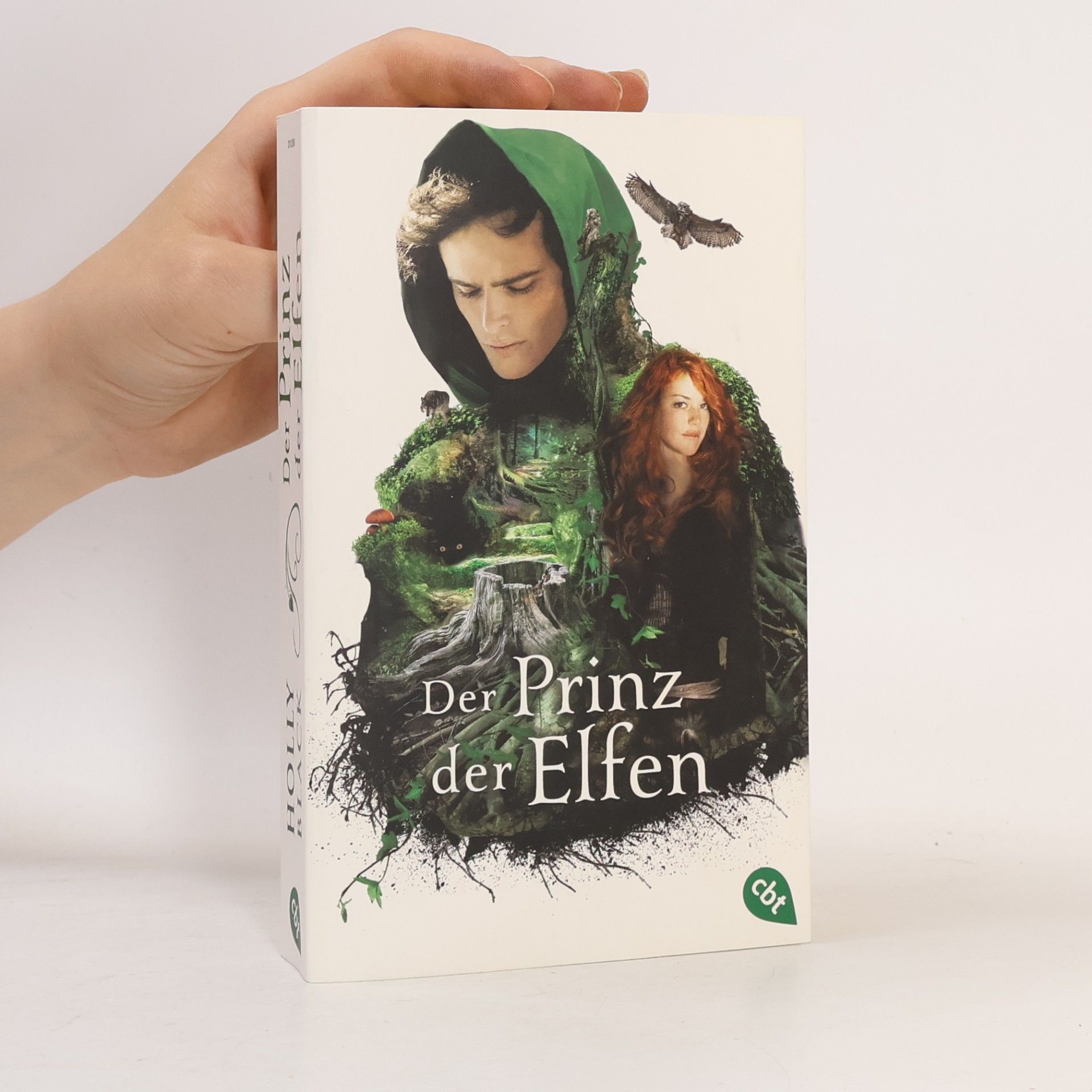 Holly Black Der Prinz der Elfen