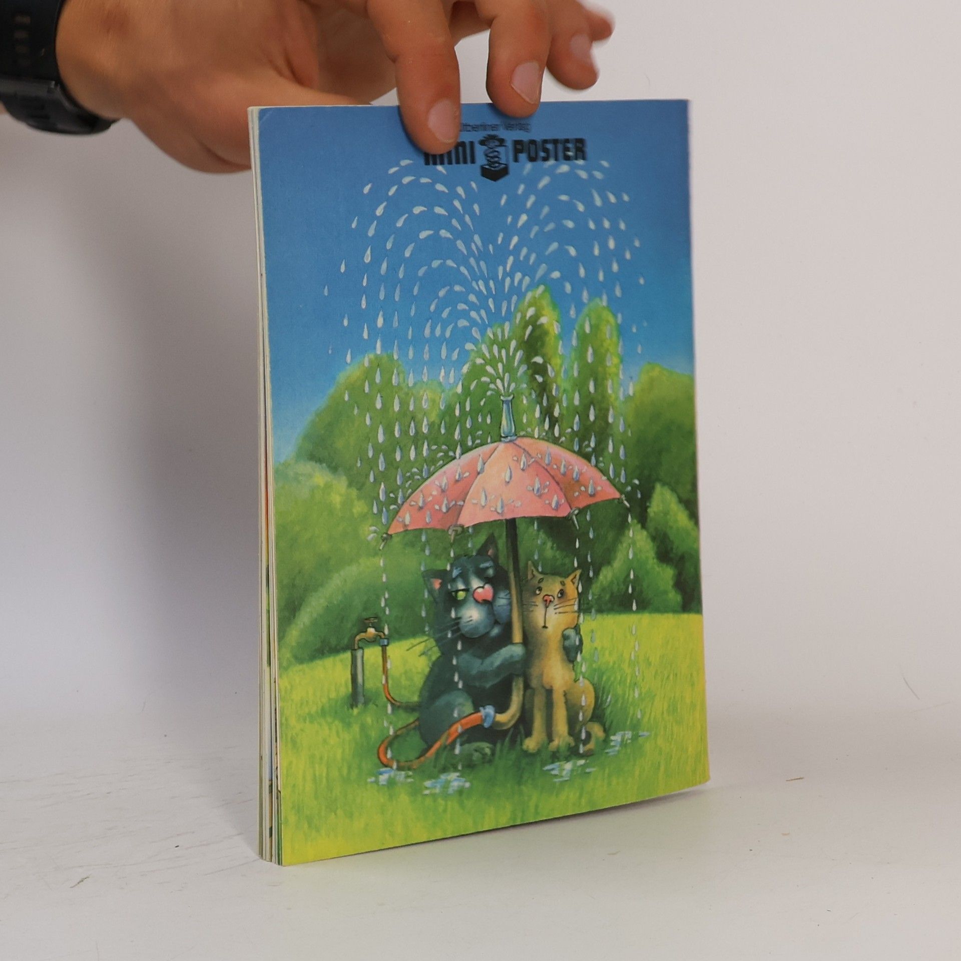 Ingrid Heller Bunte Kiste: Mein kleines Regenbuch