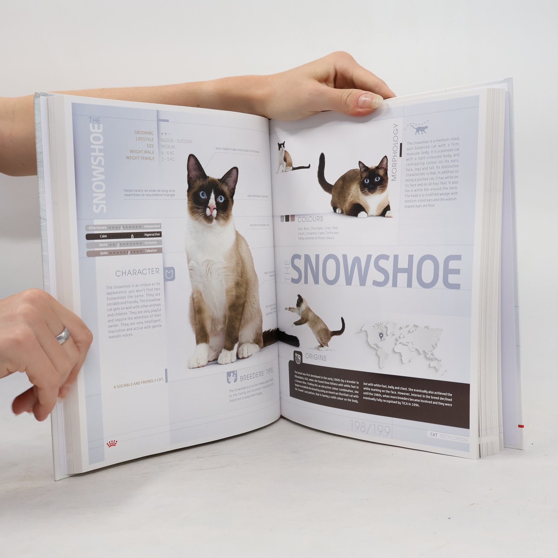 AA.VV. The Cat Encyclopedia